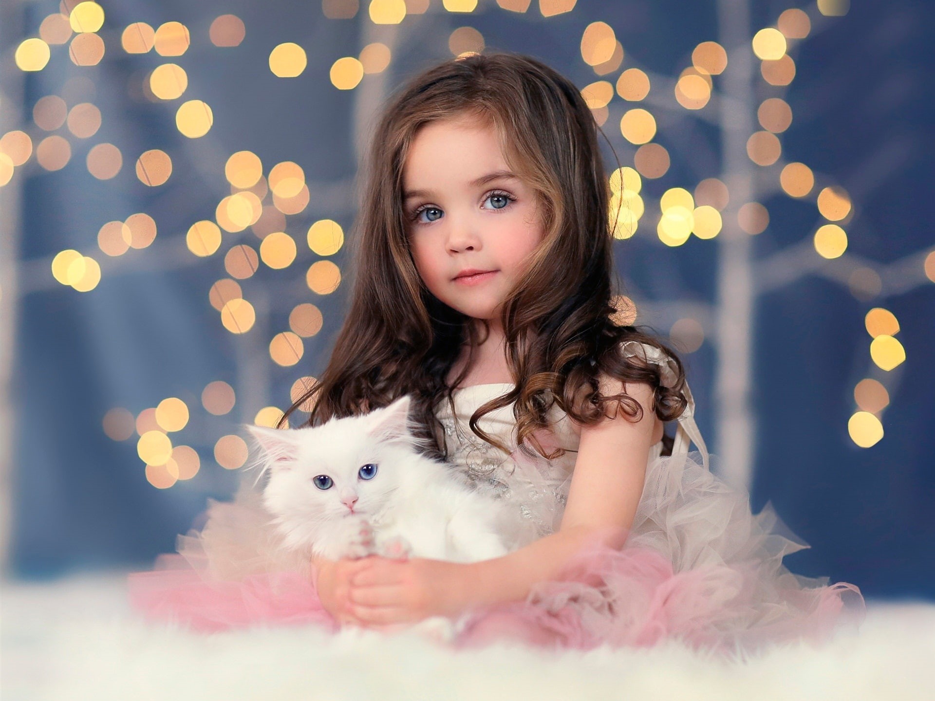 1080P, Girl, White, Cute, Lights, Bokeh, Kitten, HD Wallpaper