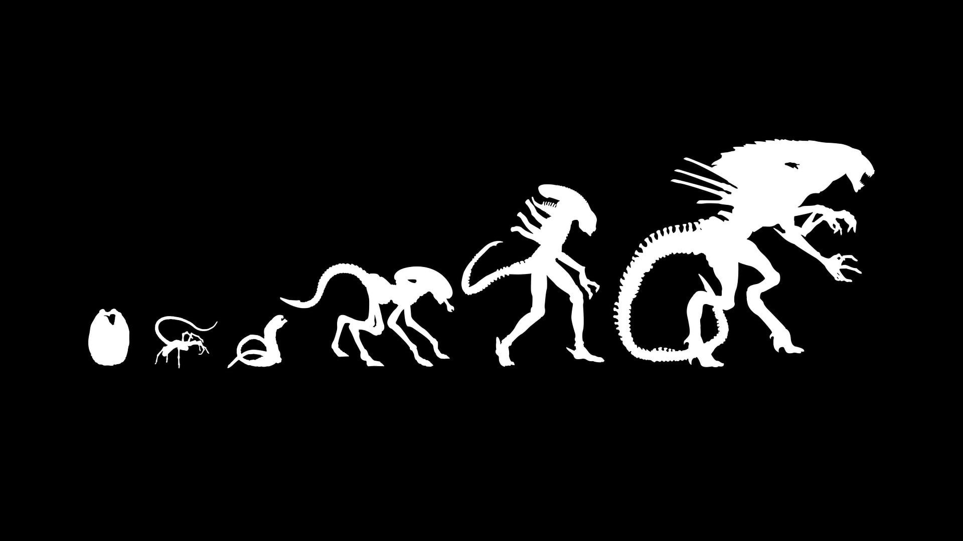 copy space, 1080P, illustration, animal representation, creativity, glowing, Xenomorph, studio shot, black background, alien, celebration, fan art, animal themes, HD Wallpaper