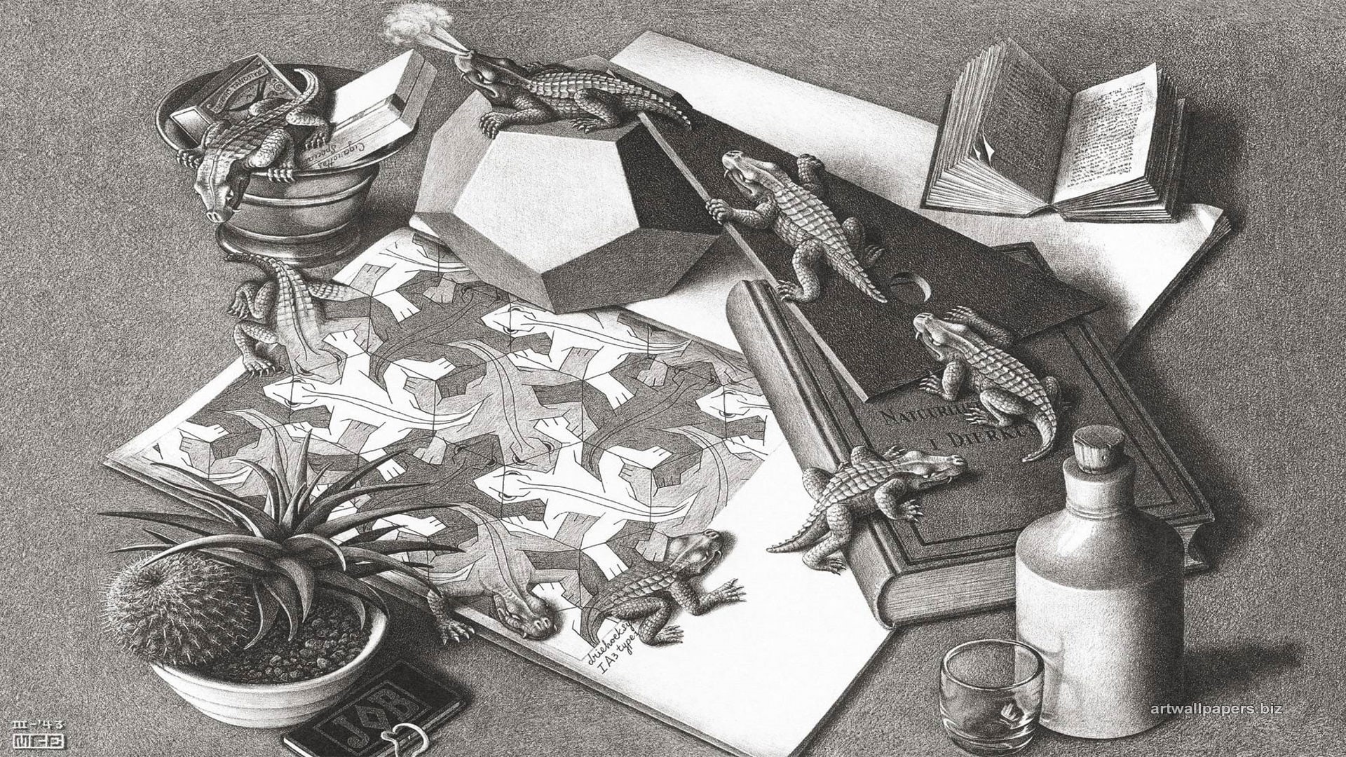 M. C. Escher, 3d, psychedelic, artwork, reptile, monochrome, bottles, 1080P, animals, Optical Illusion, books, drawing, HD Wallpaper