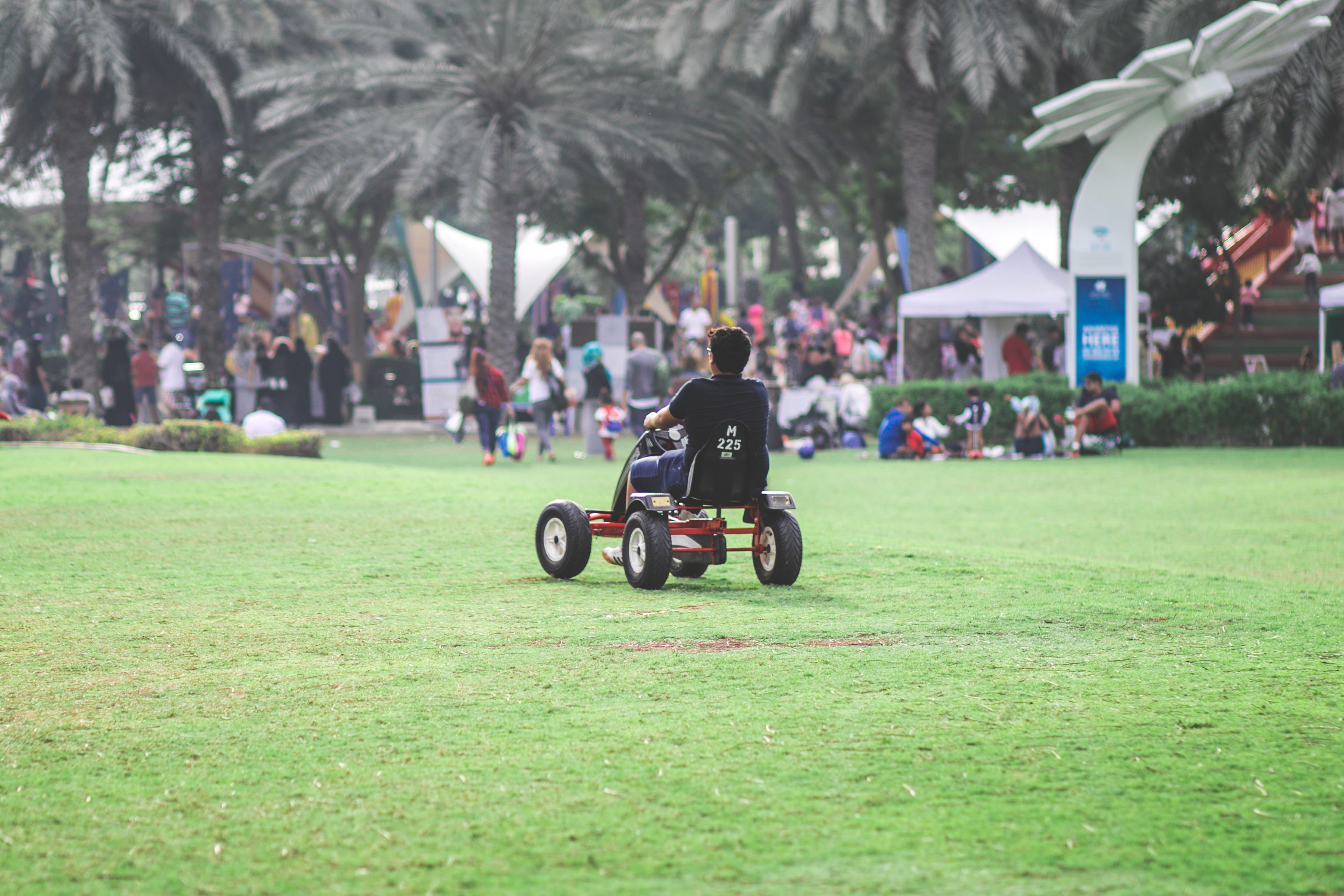 park, dubai, trees, leisure activity, picnic, summer, people, land vehicle, park - man made space, tree, plant, field, fun, green grass, transportation, HD Wallpaper