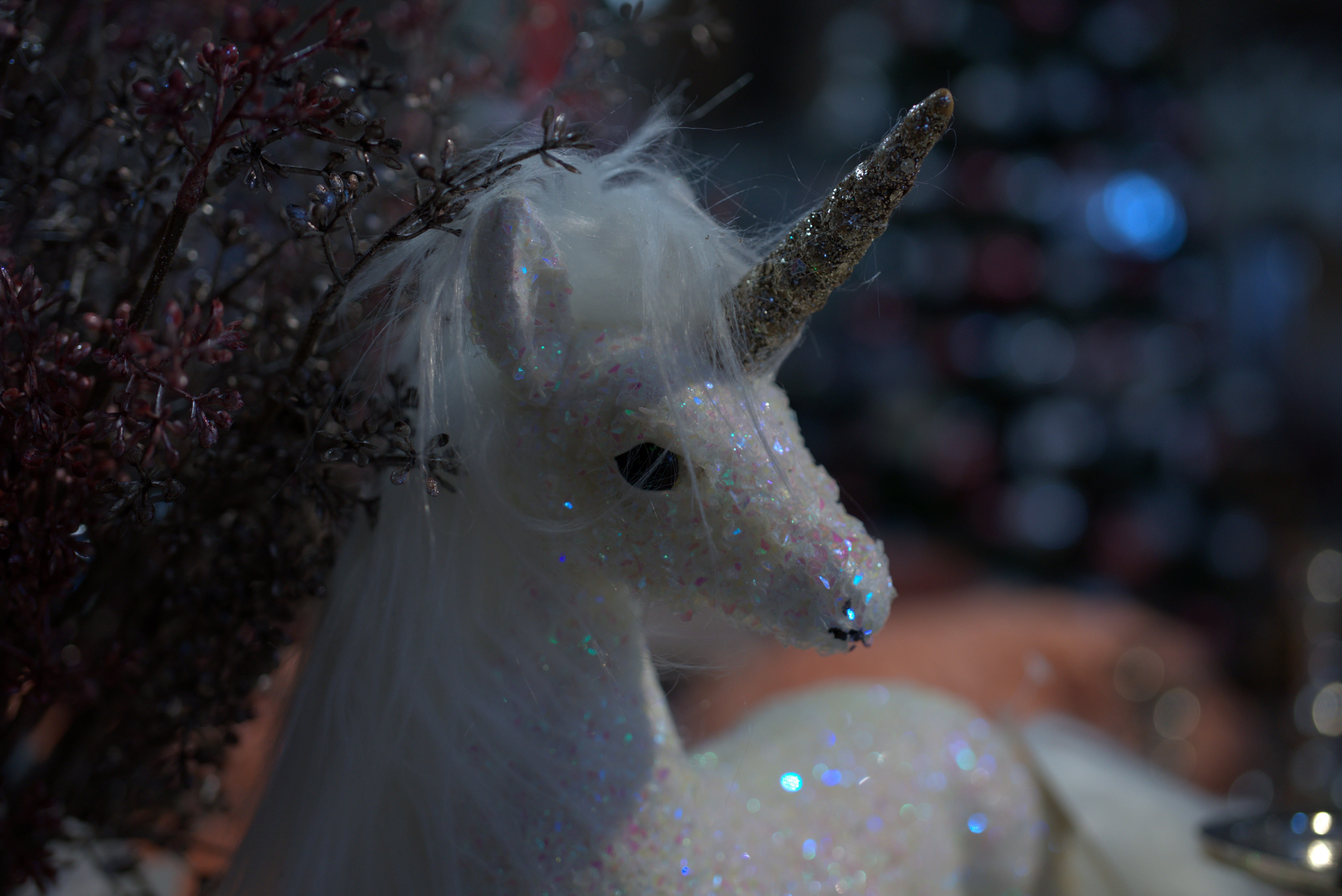 day, water, one animal, nature, fantasy, 5K, cute, lucky charm, close-up, figurine, unicorn, sweet, vertebrate, art and craft, dream, outdoors, animal, HD Wallpaper