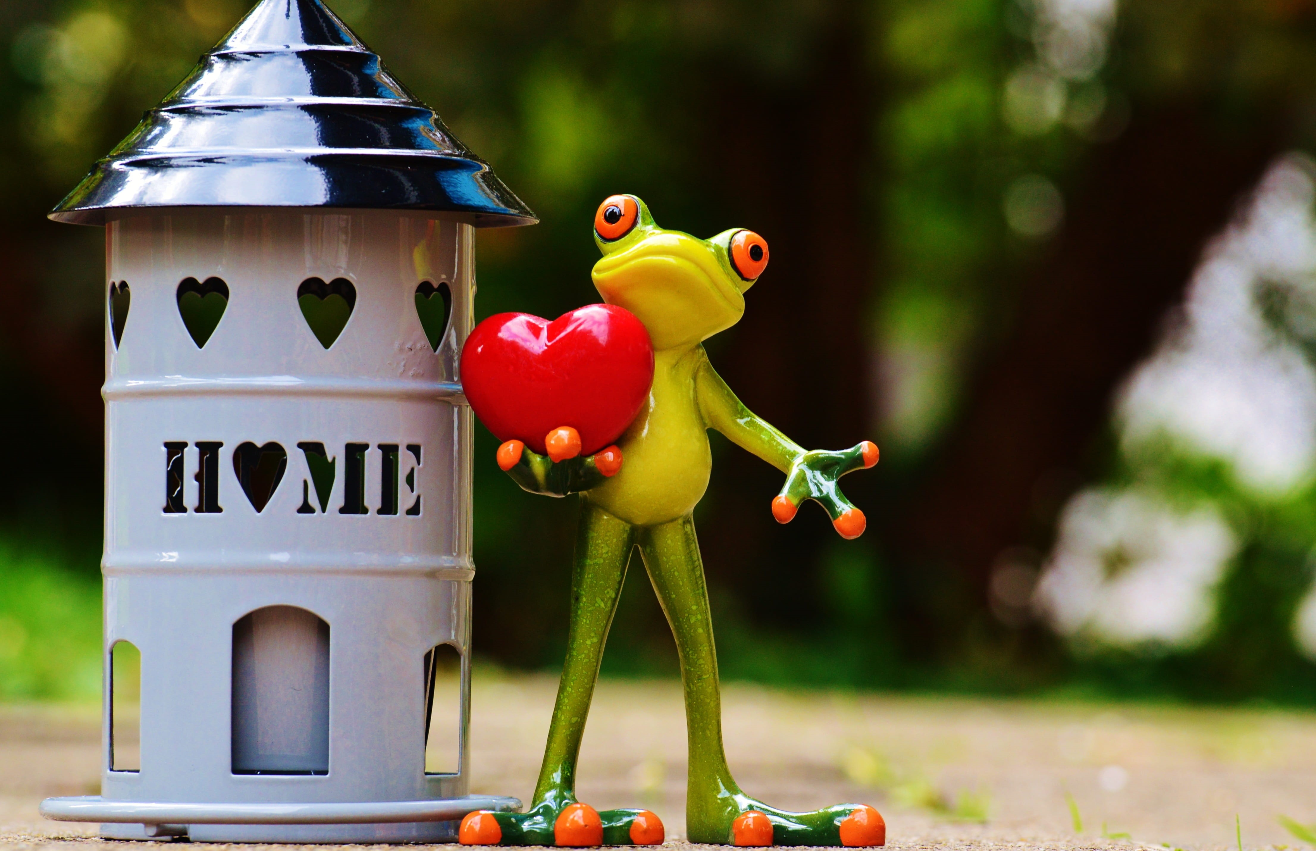 cute, arrive, figurine, toy, home, beautiful, nature, figure, small, red, no people, sweet, day, representation, multi colored, frog, holding, 4K, funny, HD Wallpaper