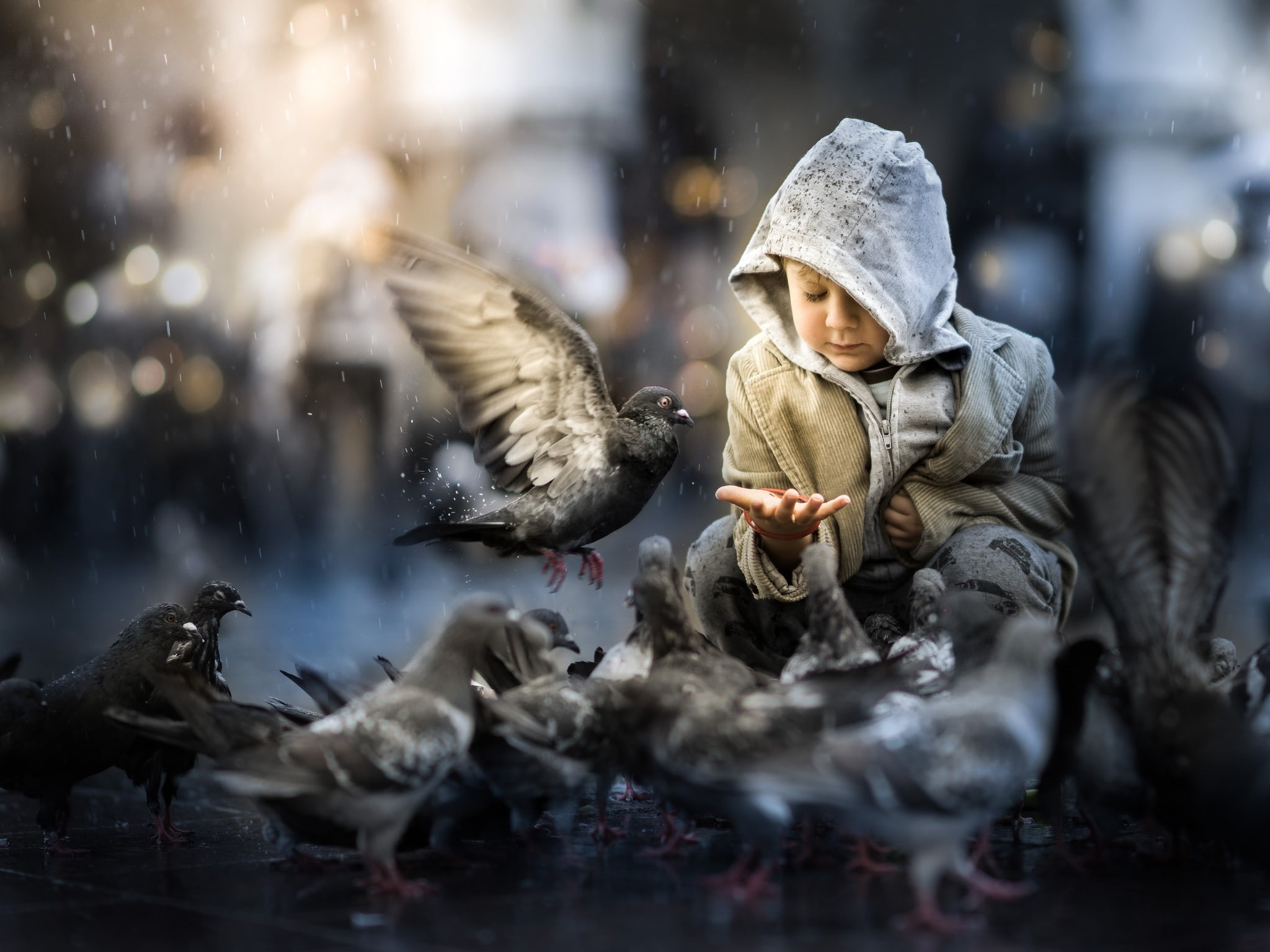 winter, motion, selective focus, bird, group of animals, cold temperature, vertebrate, outdoors, water, animals in the wild, one person, warm clothing, HD Wallpaper