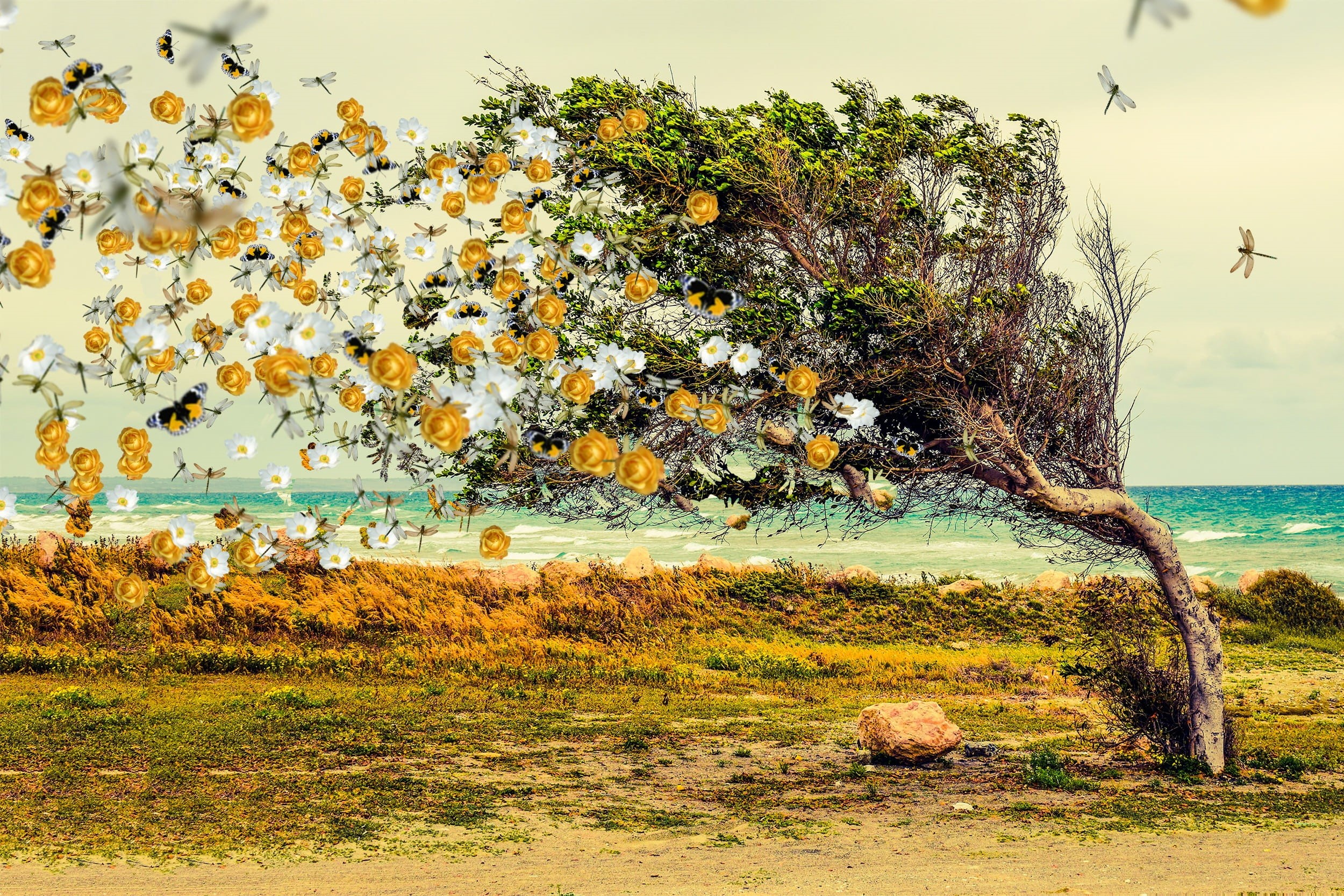 roses, plant, sky, disintegration, wind, one animal, outdoors, tranquil scene, painting, nature, no people, Flowers, Butterflies, 1080P, yellow, magic, HD Wallpaper