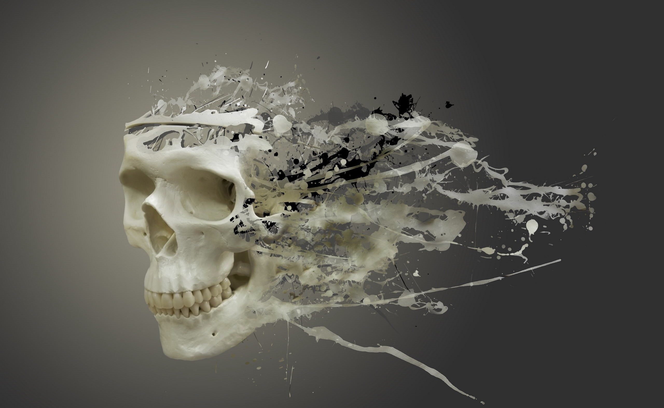 Skull, motion, water, no people, 2K, splashing, food and drink, bone, damaged, black background, single object, close-up, indoors, destruction, HD Wallpaper