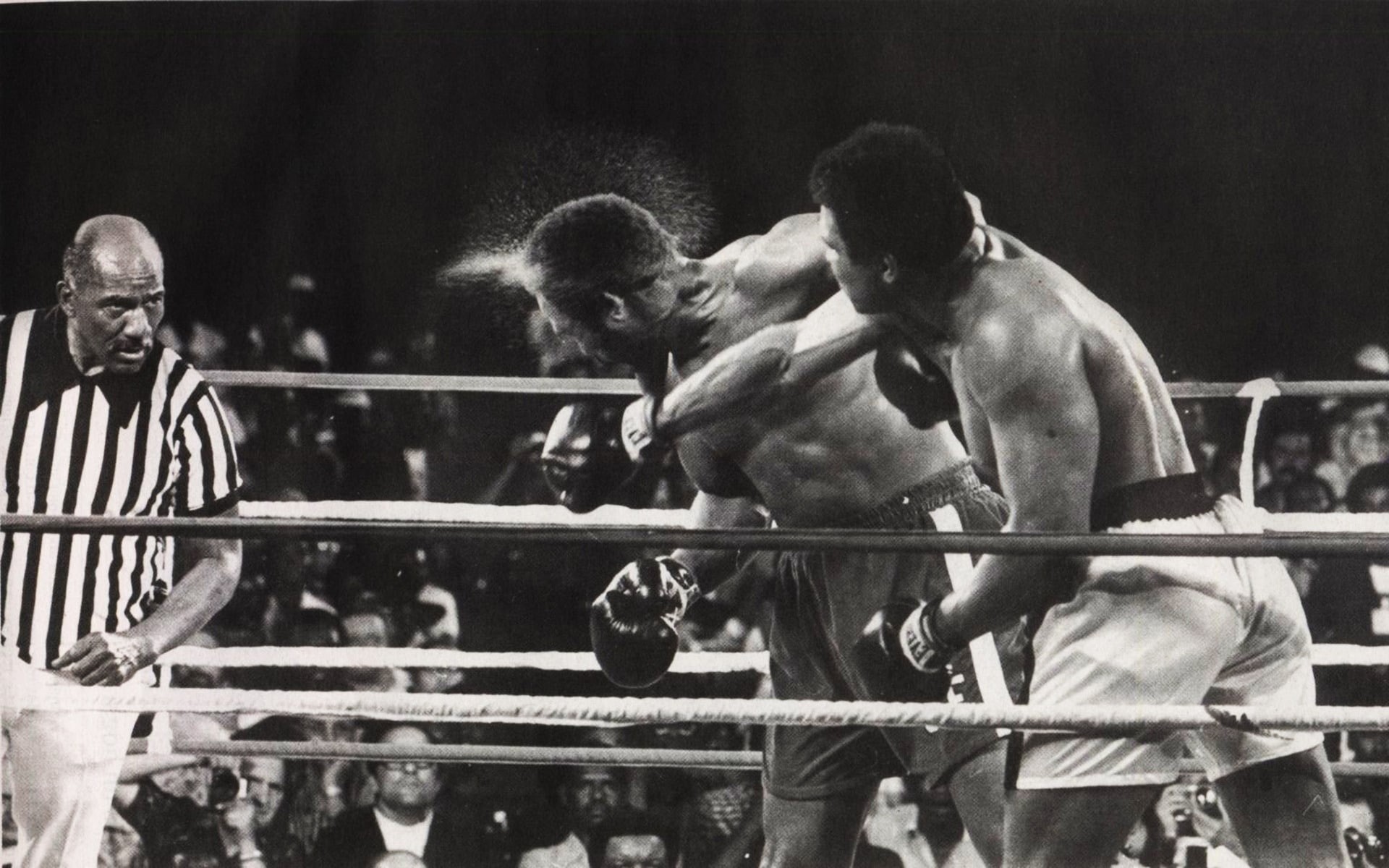 muhammad, ali, hit, 1080P, HD Wallpaper