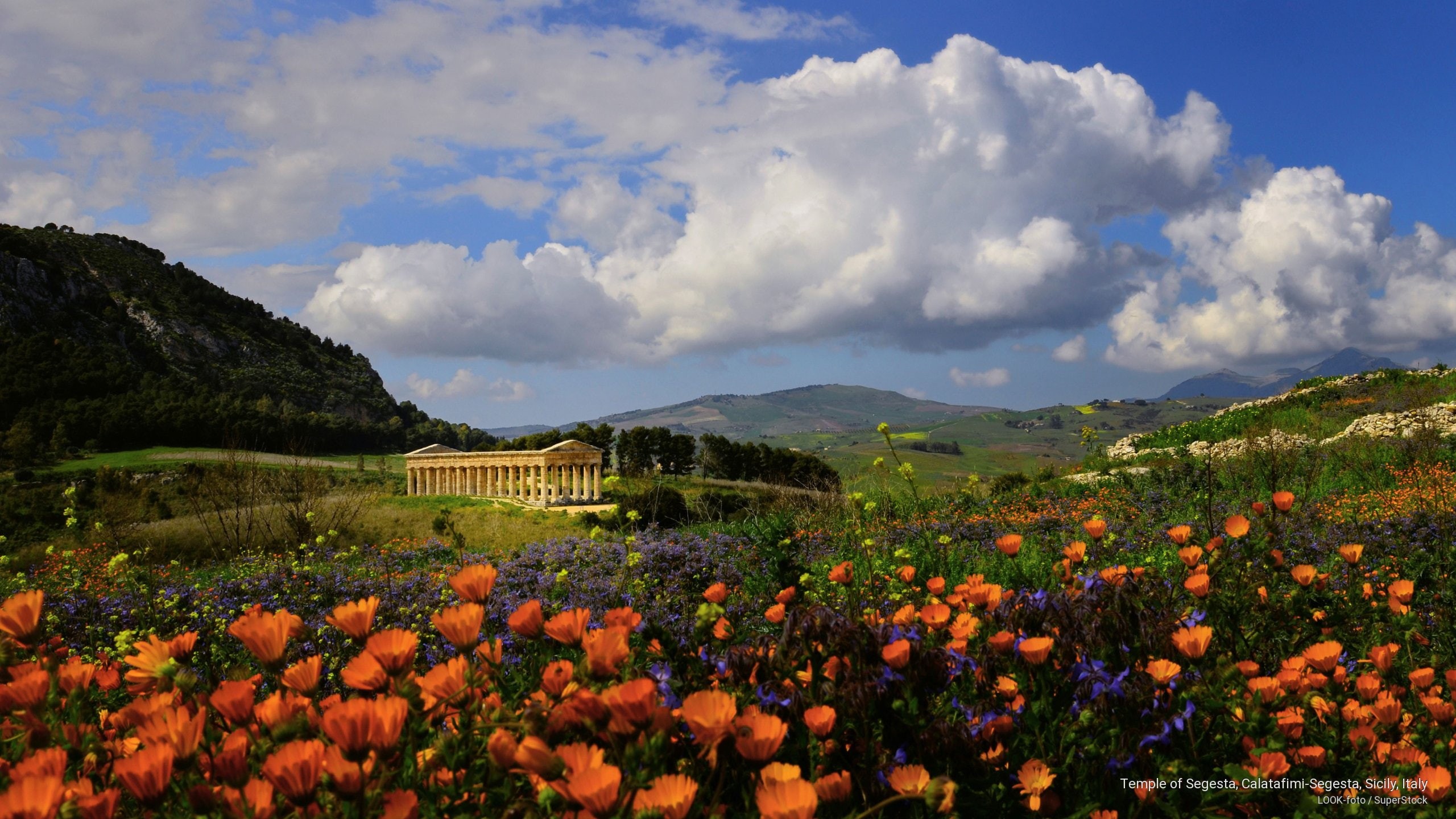 Spring/Summer, 2K, segesta, calatafimi, sicily, temple, italy, HD Wallpaper