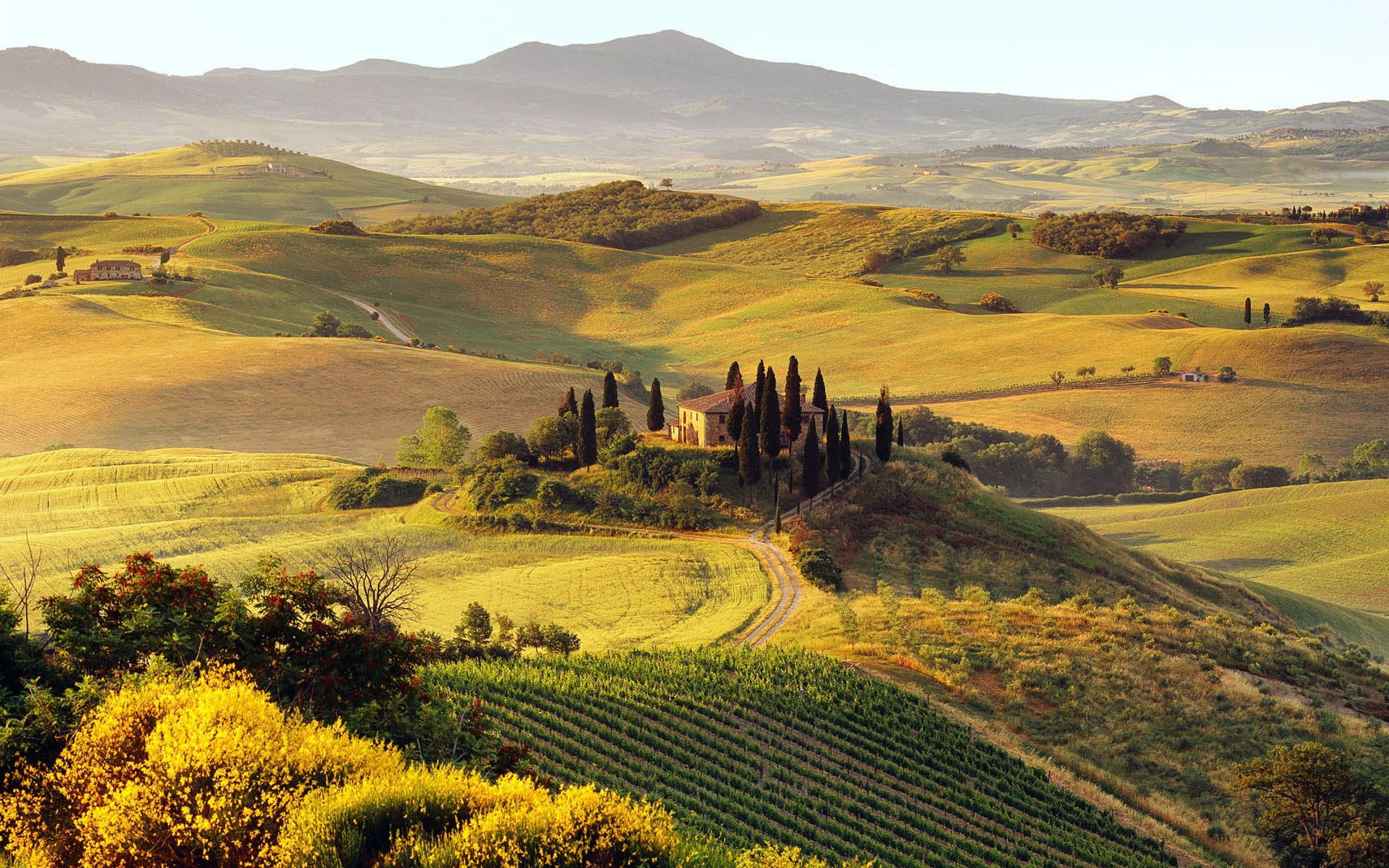 green, house, Tuscany, 2K, nature, landscape, Italy, HD Wallpaper