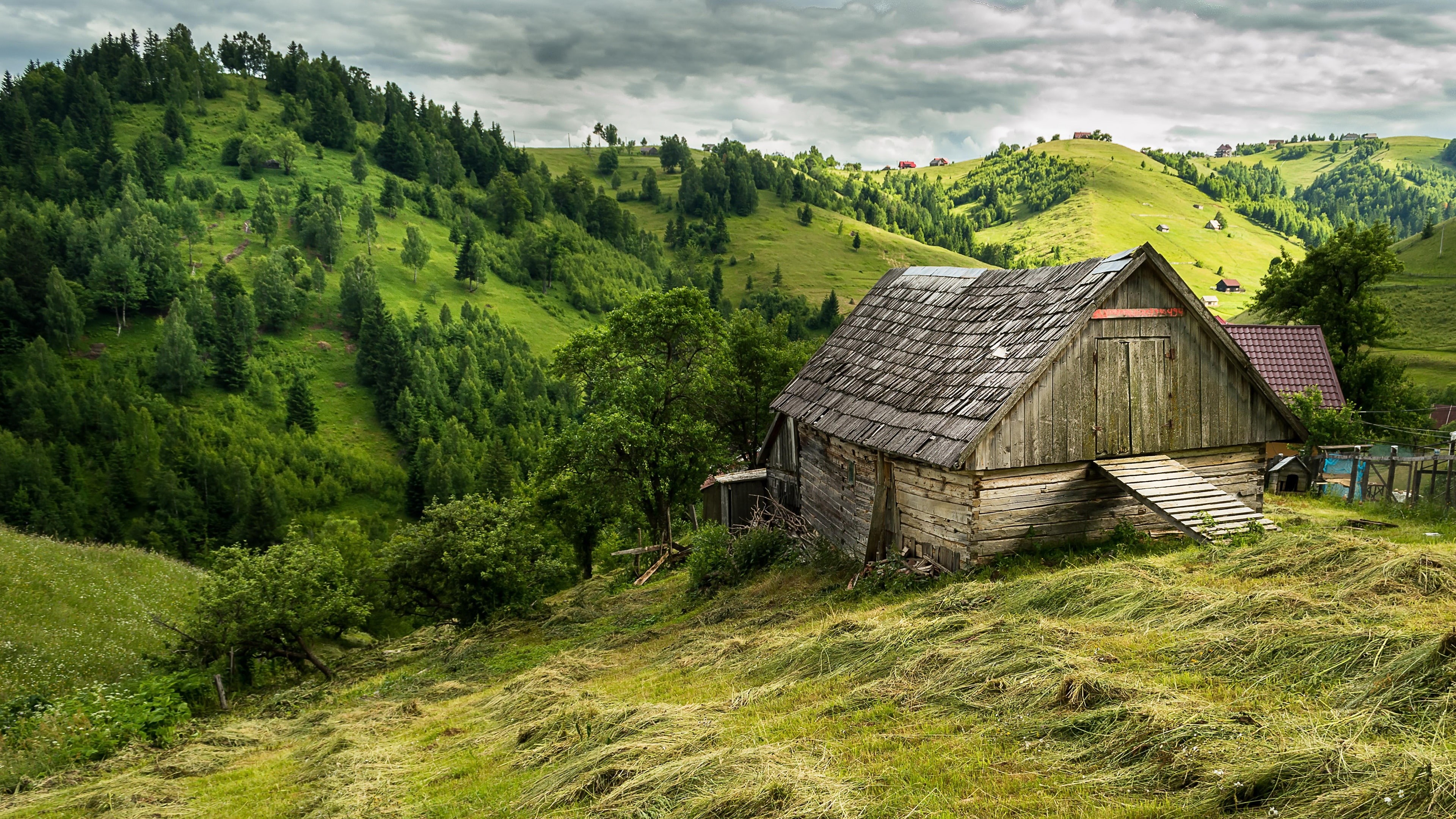 mountain village, highland, hut, romania, europe, barn, grassland, tree, mountain, transylvania, nature, hill, 4K, village, green, rural area, sky, grass, HD Wallpaper