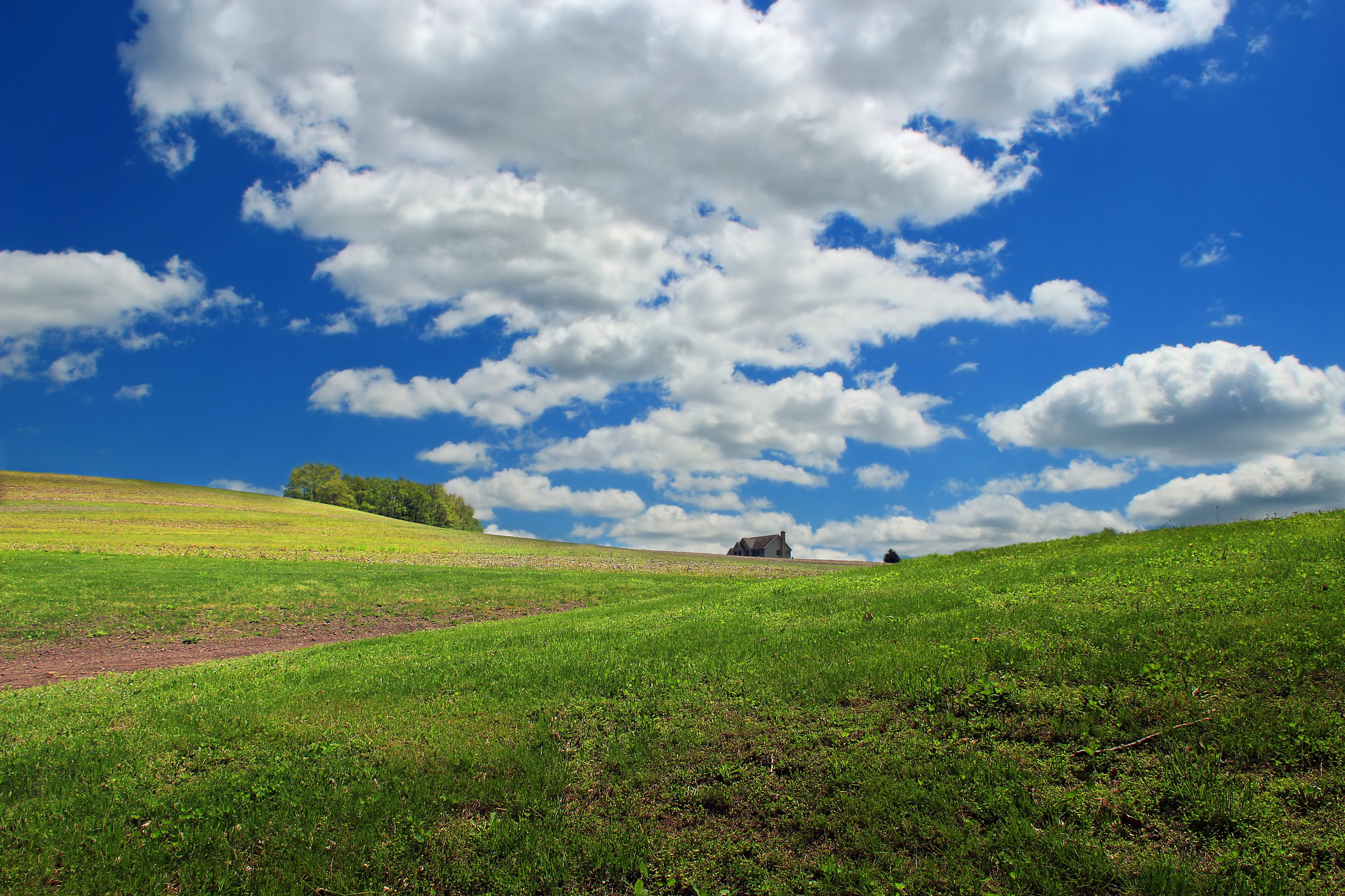 Pennsylvania, field, hill, landscape, Columbia County, 5K, green Color, meadow, creative commons, Crawford, hills, summer, scenics, agriculture, nature, HD Wallpaper