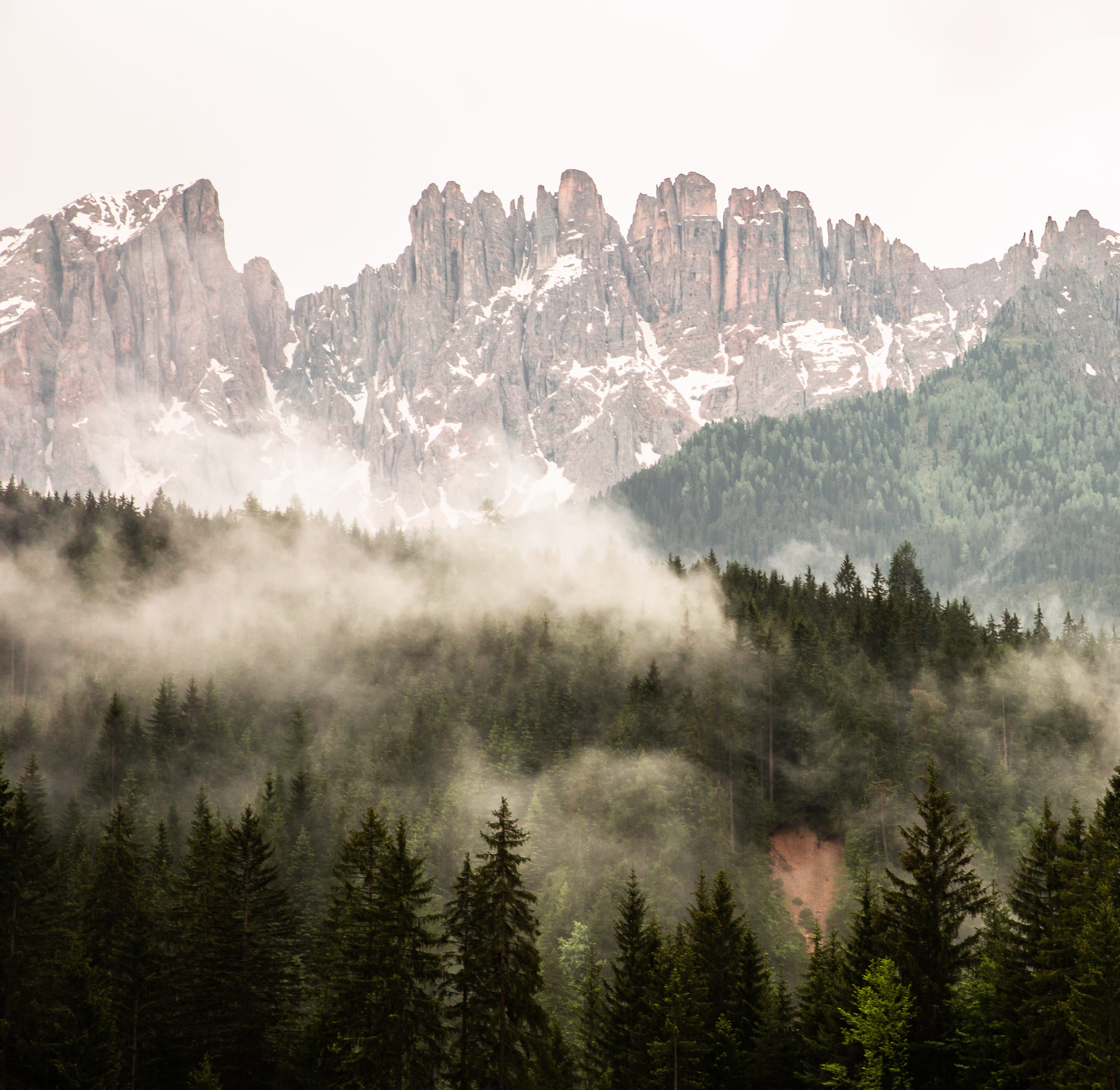 forest, tree, mountain range, day, dolomiti, mountain peak, non-urban scene, beauty in nature, sky, 2K, no people, tranquil scene, vigo di fassa, nature, HD Wallpaper