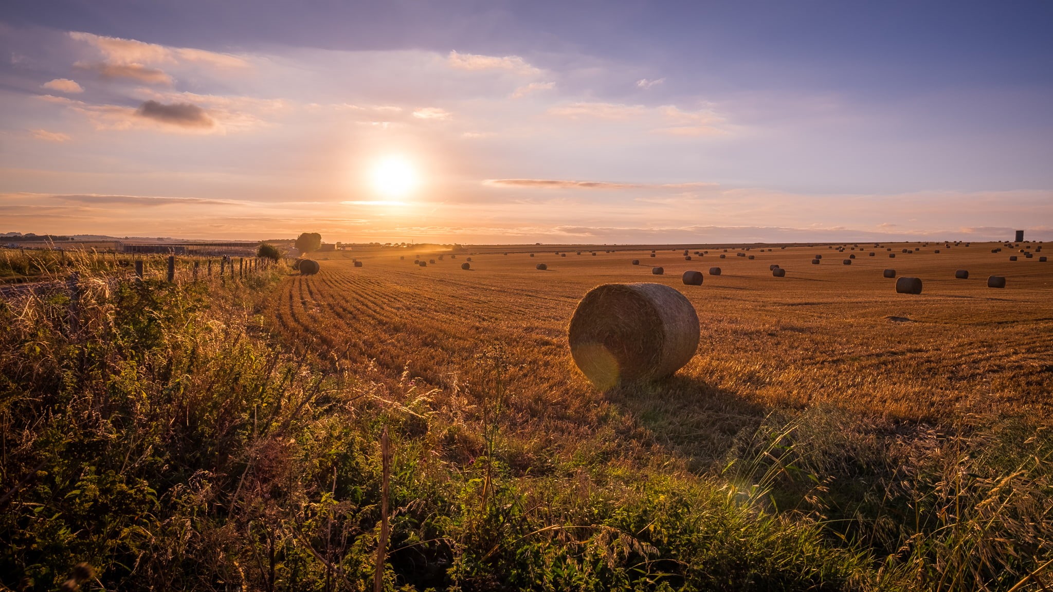 sky, photograph, colorful, ultra, 1080P, harvesting, United Kingdom, natural  color, hay, fine art, meadow, yellow, orange, sun, gold, bright, purple, HD Wallpaper
