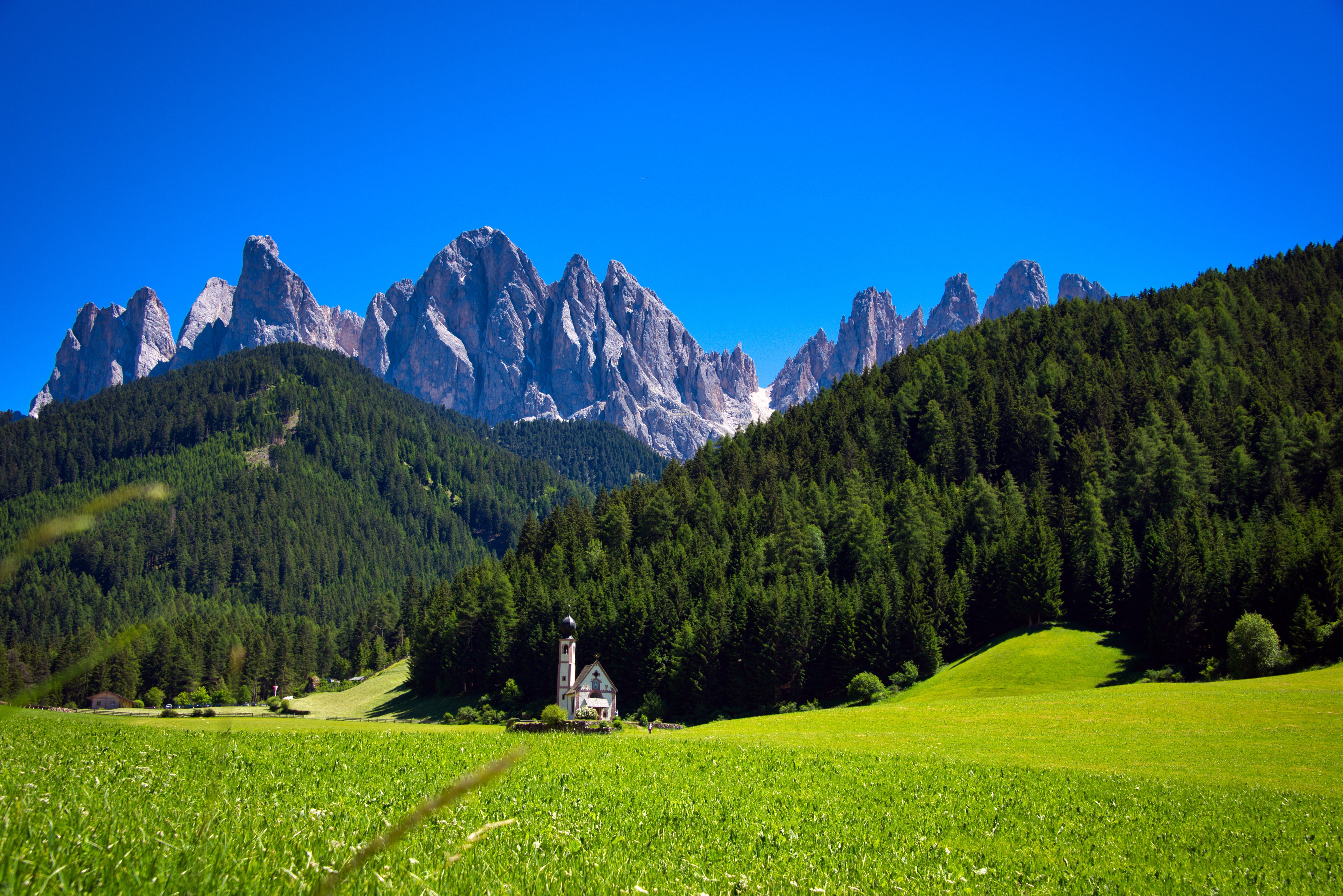 dolomites, green color, no people, tranquility, plant, mountains, nature, forest, natural, blue, trees, tranquil scene, environment, prato, pine woodland, HD Wallpaper