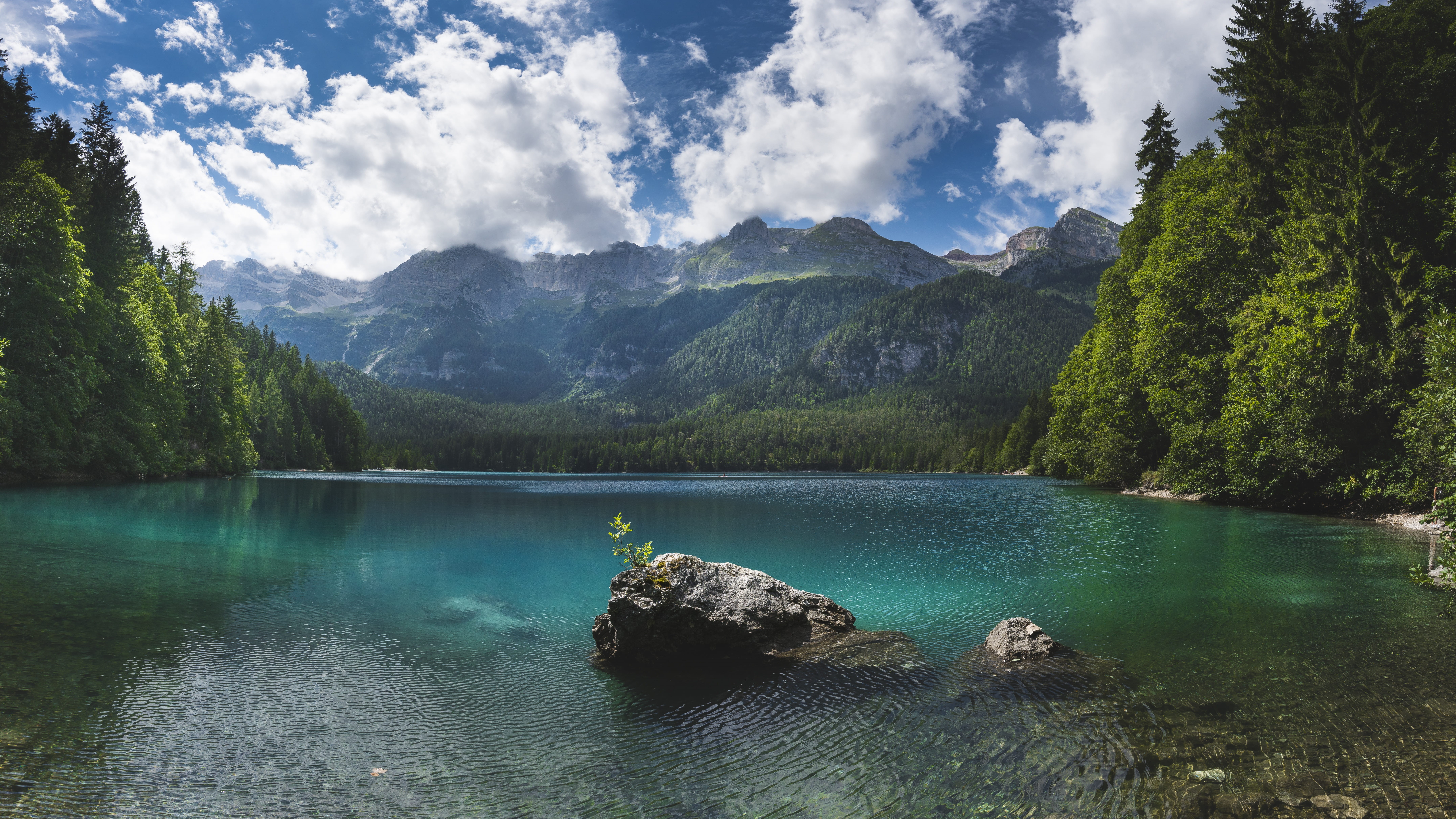 remote, grey, tranquility, italy, landscape, sky, outdoors, lago di tovel, tree, day, clear, snow, reflection, water, forest, near, non-urban scene, 8K, HD Wallpaper