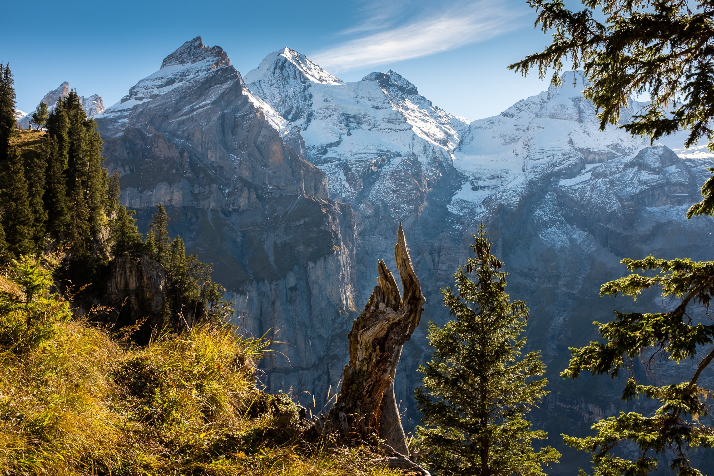 surrounded, Cliche, green, Blüemlisalp, european Alps, snow, Natur, nature, forest, mountain, outdoors, Herbst, scenics, Berge, mountain Peak, Oeschinensee, HD Wallpaper