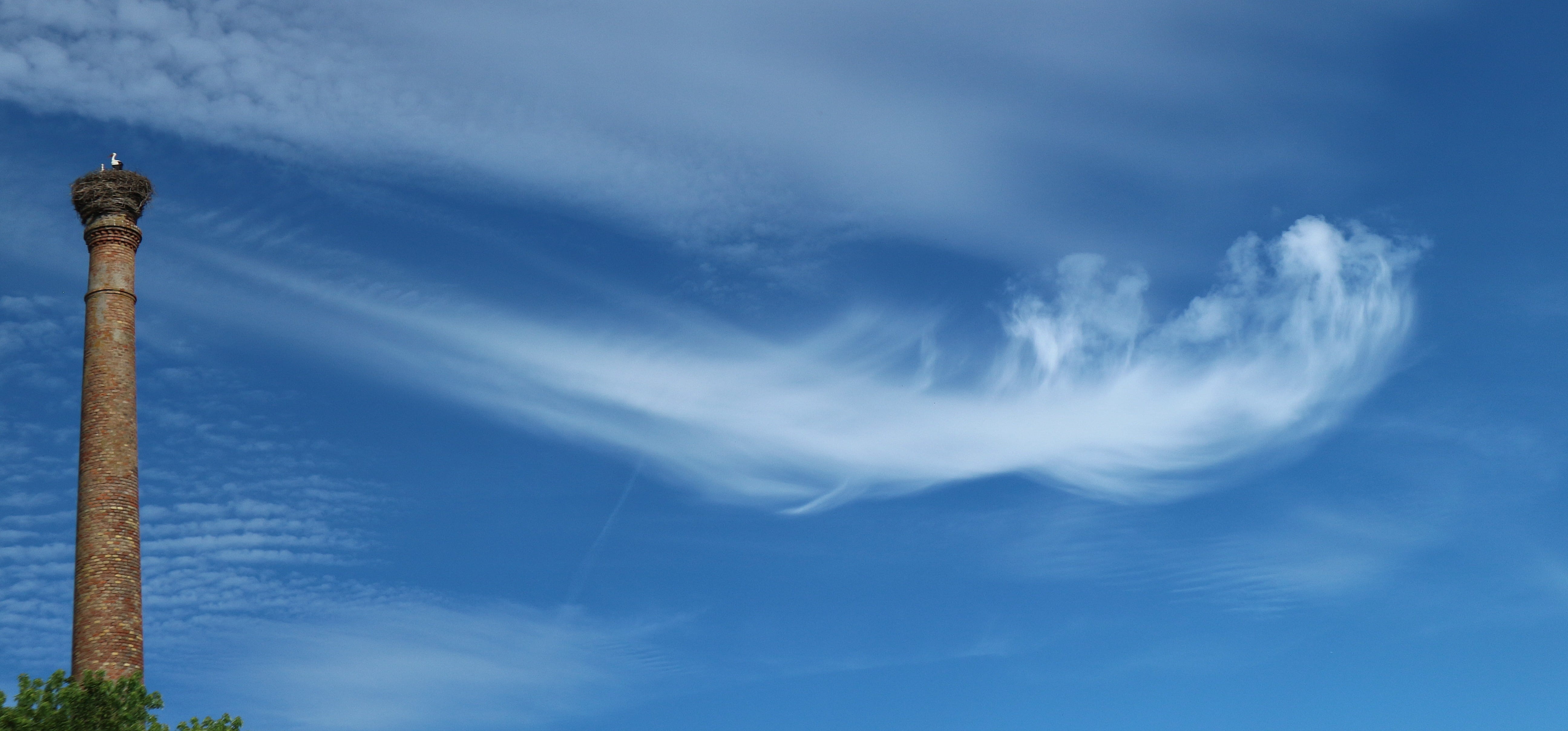no people, cloudscape, sky, blue, low angle view, directly below, storks, tall - high, brown, tranquility, stork, wispy, concrete, built structure, architecture, HD Wallpaper
