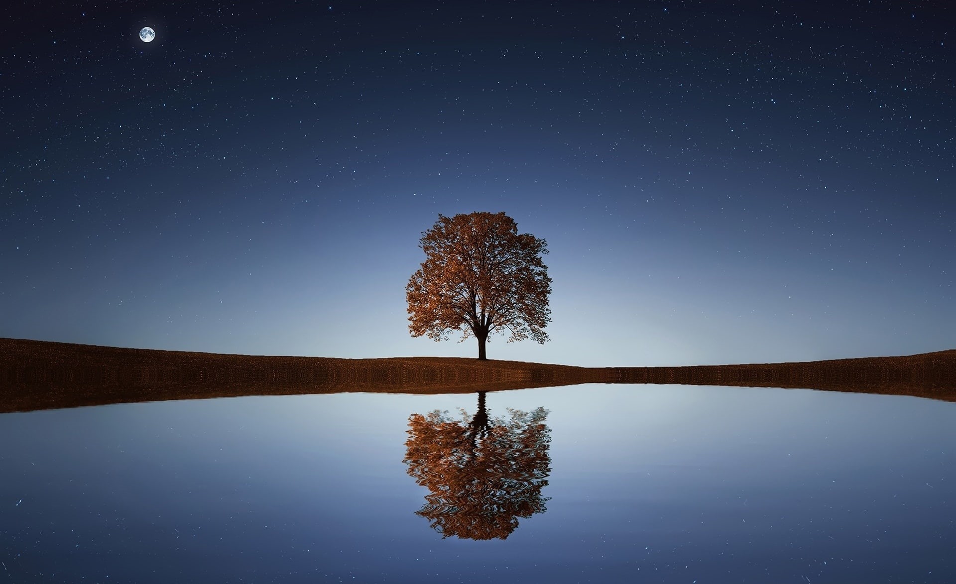 sky, non-urban scene, 1080P, Amazing, Tree, moonlight, Fall, Brown, Blue, tranquility, Water, plant, Breathtaking, Moon, beauty in nature, Evening, Reflection, HD Wallpaper