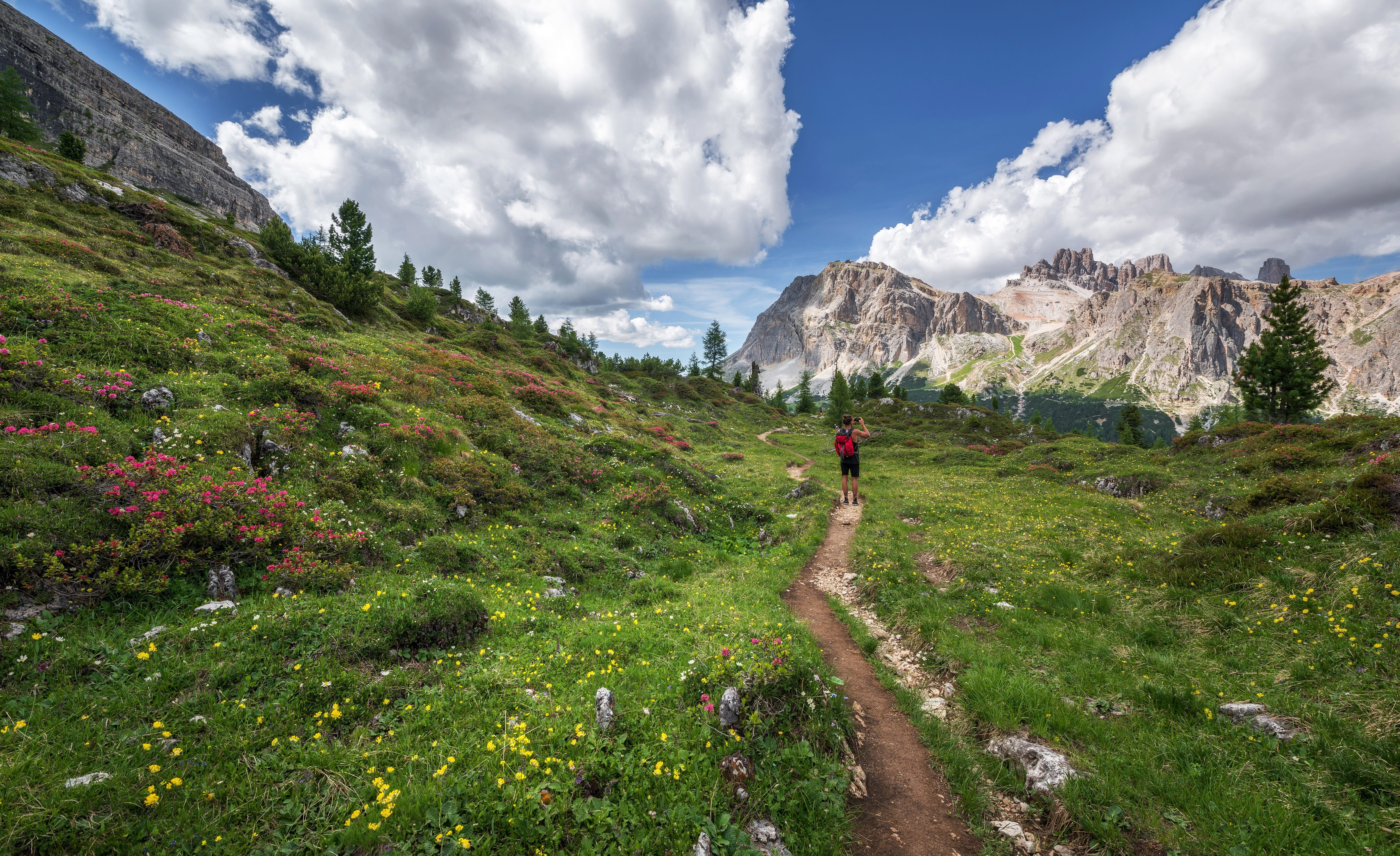 summer, dolomites, full length, looking, cloud - sky, person, green, scenics - nature, view, plant, trentino, outdoors, gardena, stone, along, alps, nature, HD Wallpaper