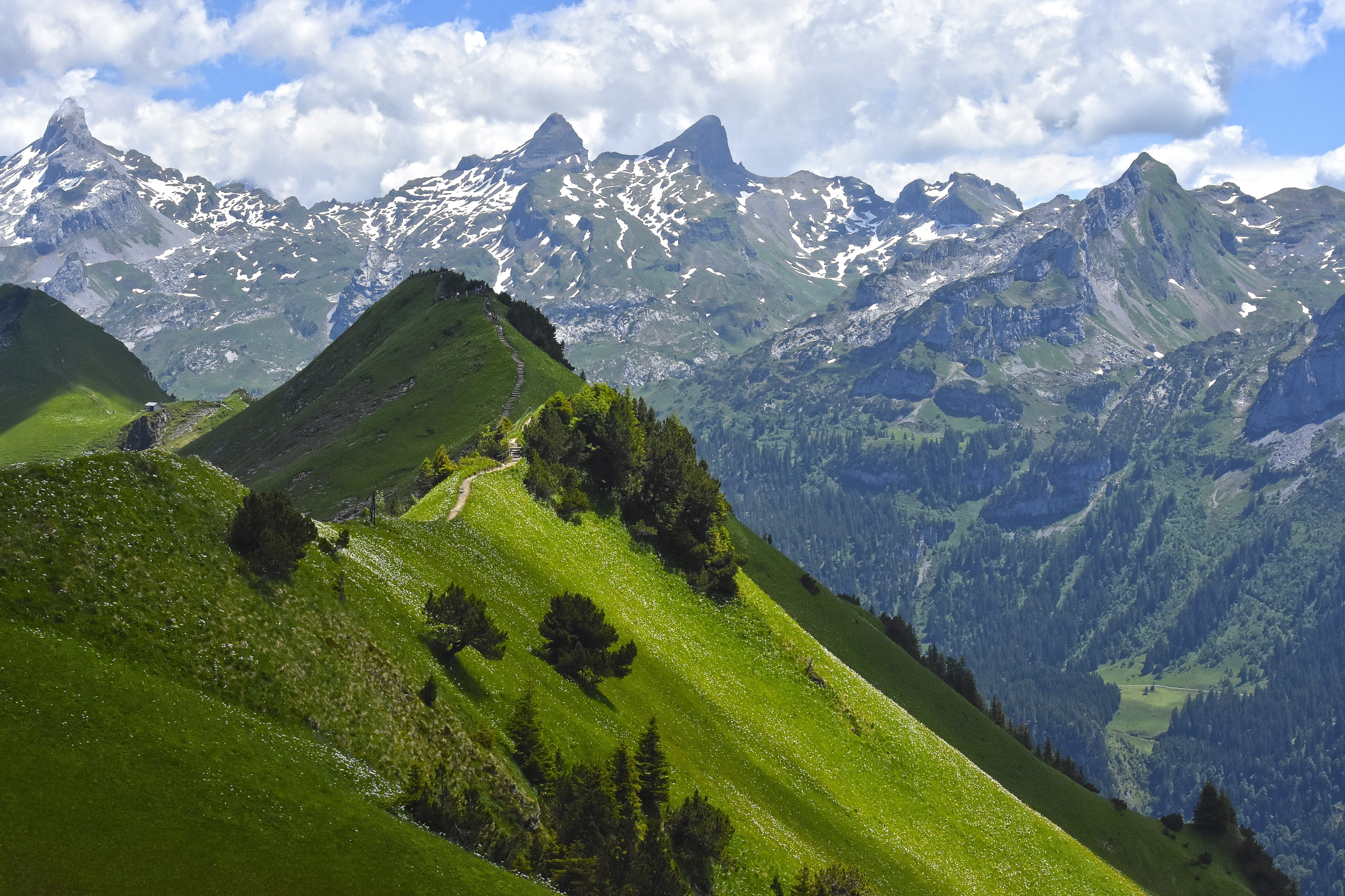 valley, summer, european Alps, non-urban scene, environment, grass, europe, Alpine, italy, high, view, idyllic, tranquil scene, tranquility, field, 5K, HD Wallpaper