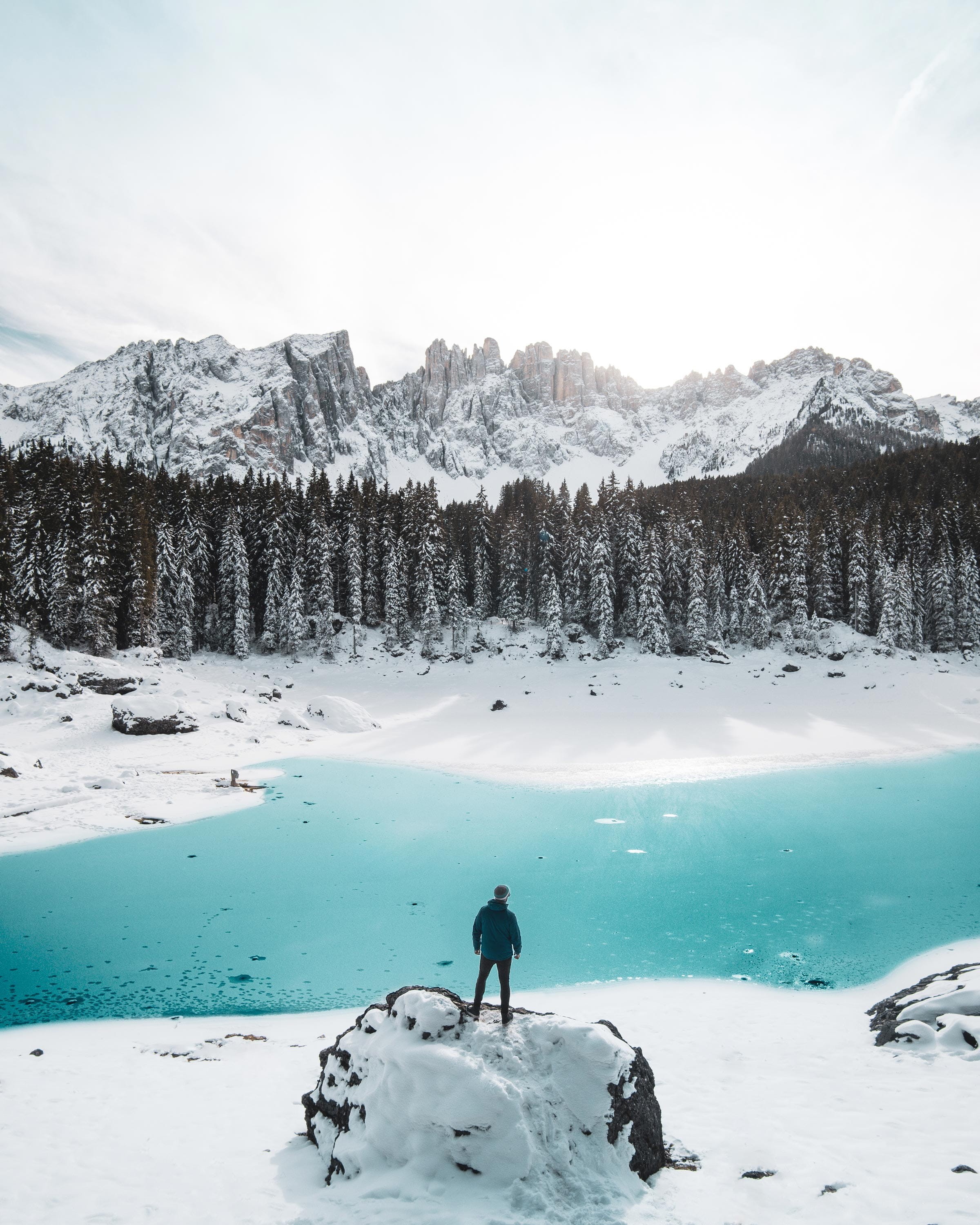 tranquility, forest, person, landscape, abies, snowcapped mountain, man, scenics - nature, full length, tree, standing, mountain range, south tyrol, landscape photography, Phone HD Wallpaper