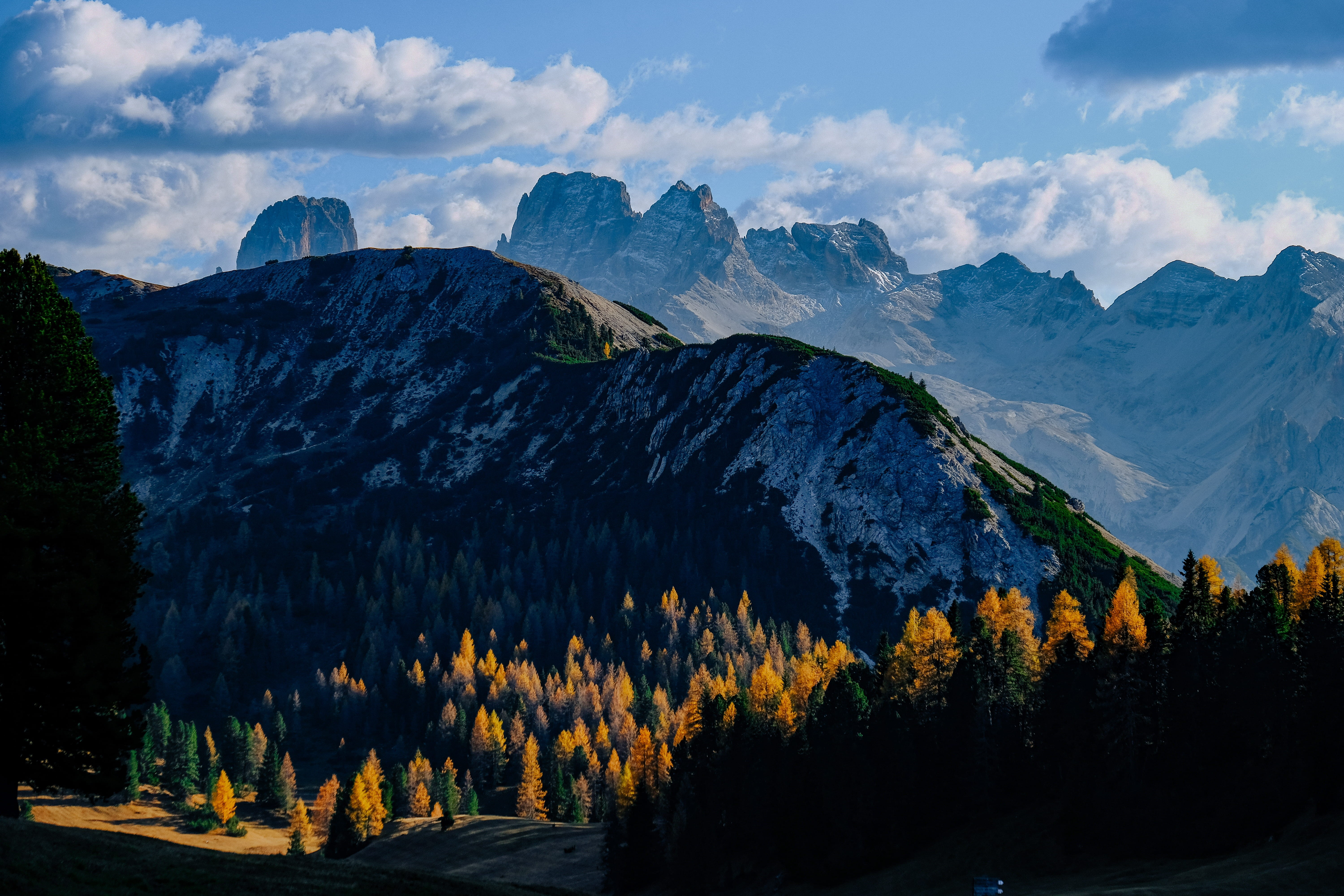 travel destinations, environment, tree, italy, tranquil scene, dolomiti, beauty in nature, coniferous tree, unesco, forest, non-urban scene, plant, sky, HD Wallpaper