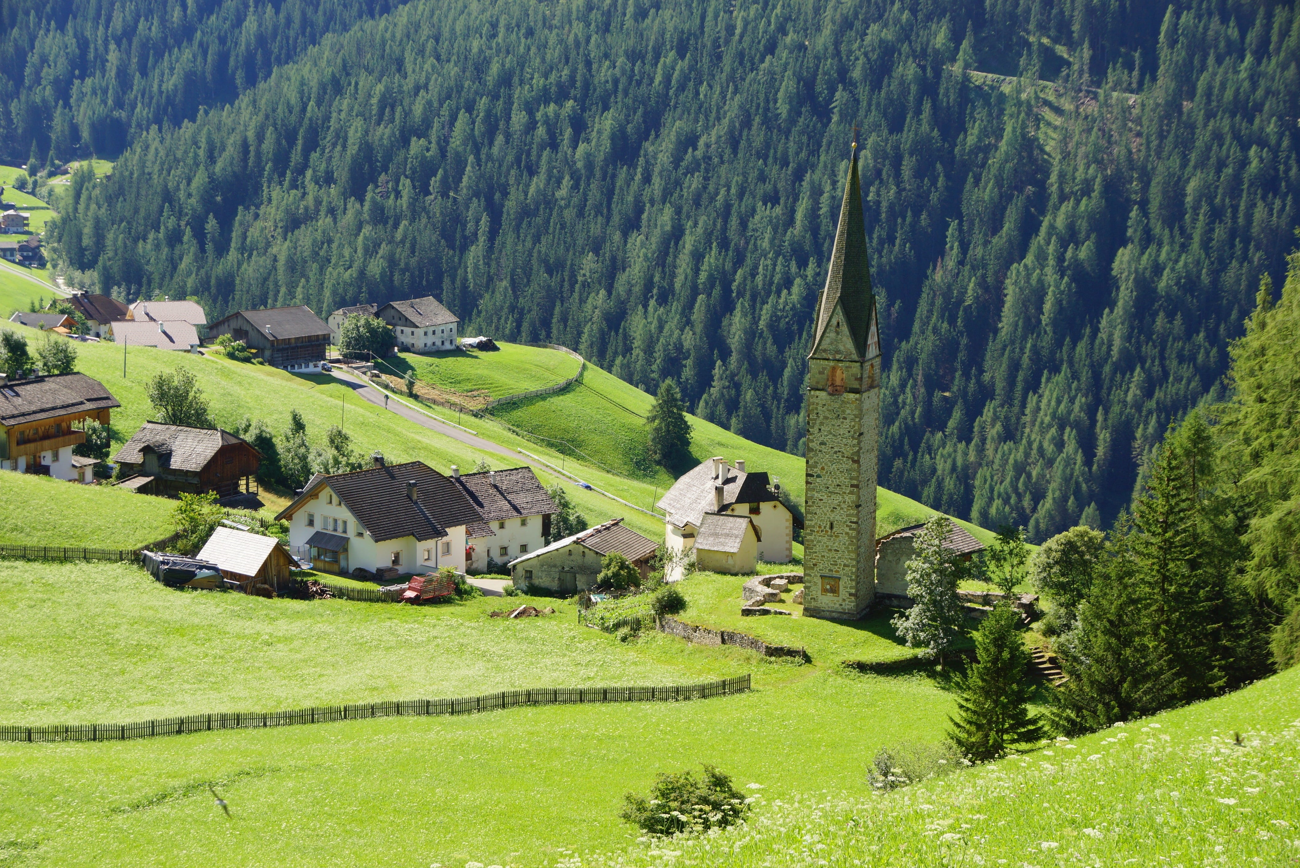 dolomiti unesco world natural heritage, wall farm ciablun, slope, grass, plant, building, wall the village of la val, growth, beauty in nature, la val, HD Wallpaper