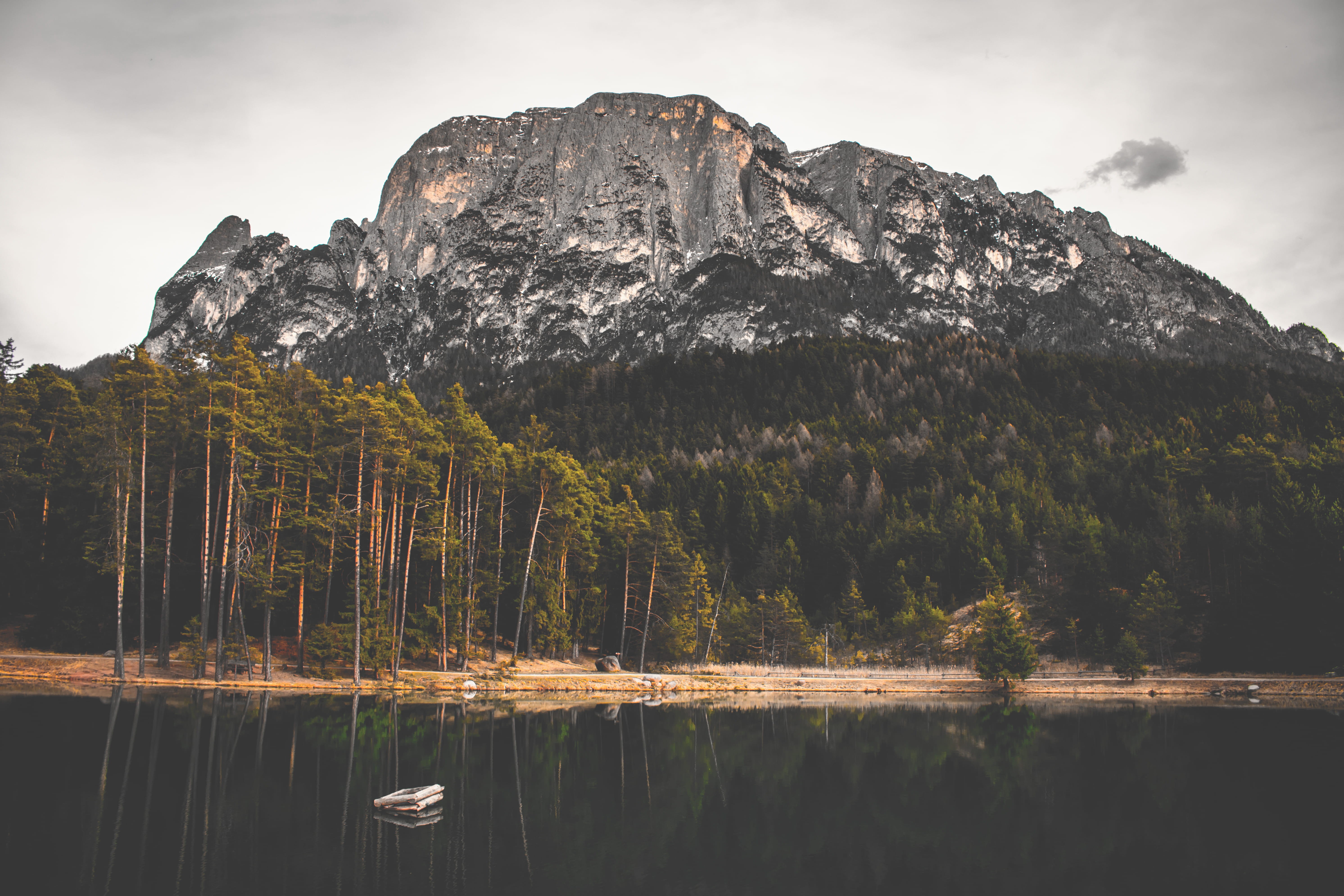 dolomiti, tranquility, water, reflection, beauty in nature, lake, no people, south tyrol, nature, solid, outdoors, 5K, sky, warm, forest, tranquil scene, HD Wallpaper