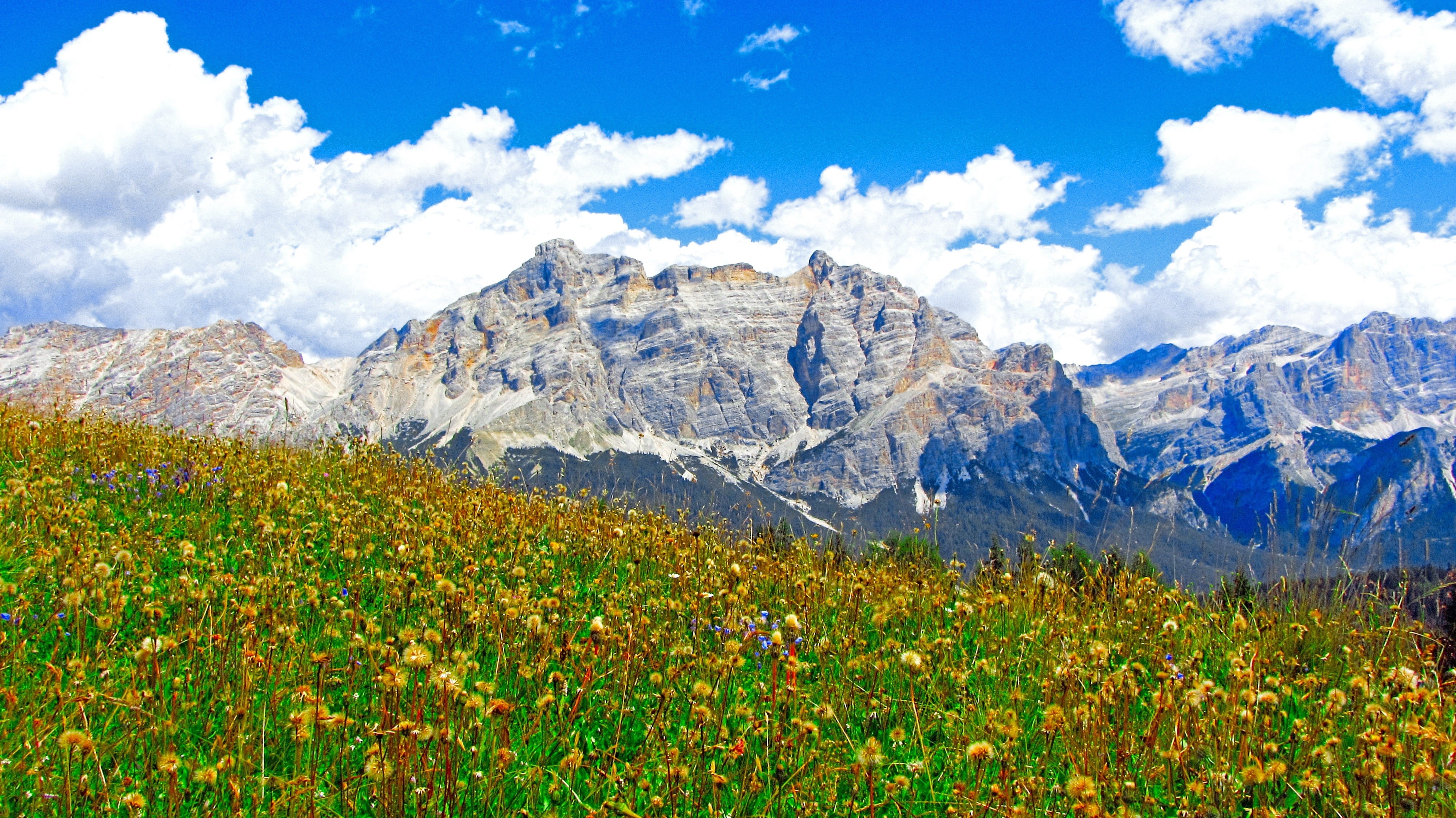mountain peak, mountain flowers, formation, landscape, panorama, scenics - nature, italy, grass, Mountain, Alta Badia, land, Alps, sky, flower, mountain range, HD Wallpaper
