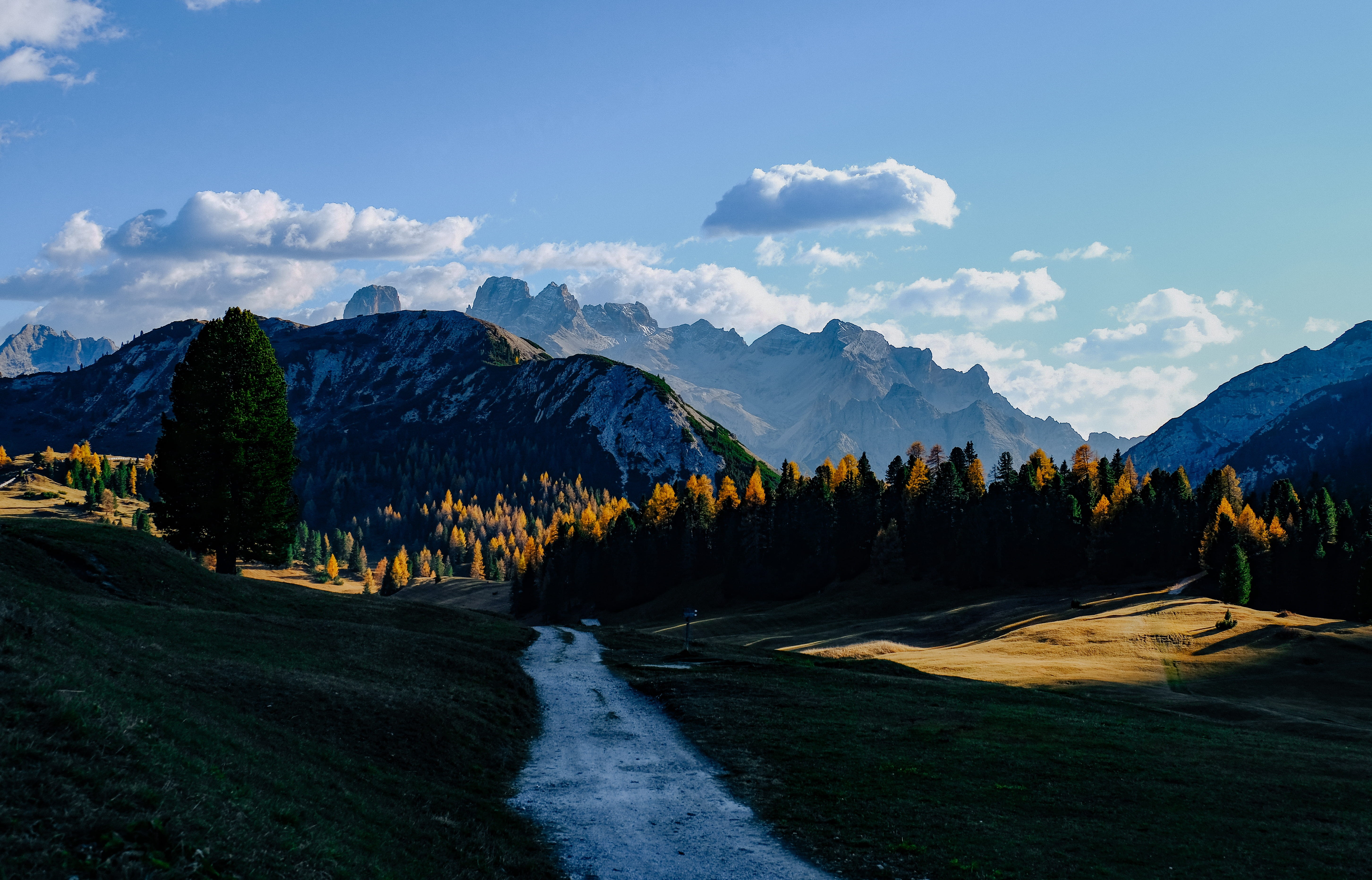 sky, idyllic, prato piazza, forest, leading, landscape, cloud - sky, day, alp, environment, mountain range, moody, mountain hill, plant, beauty in nature, HD Wallpaper