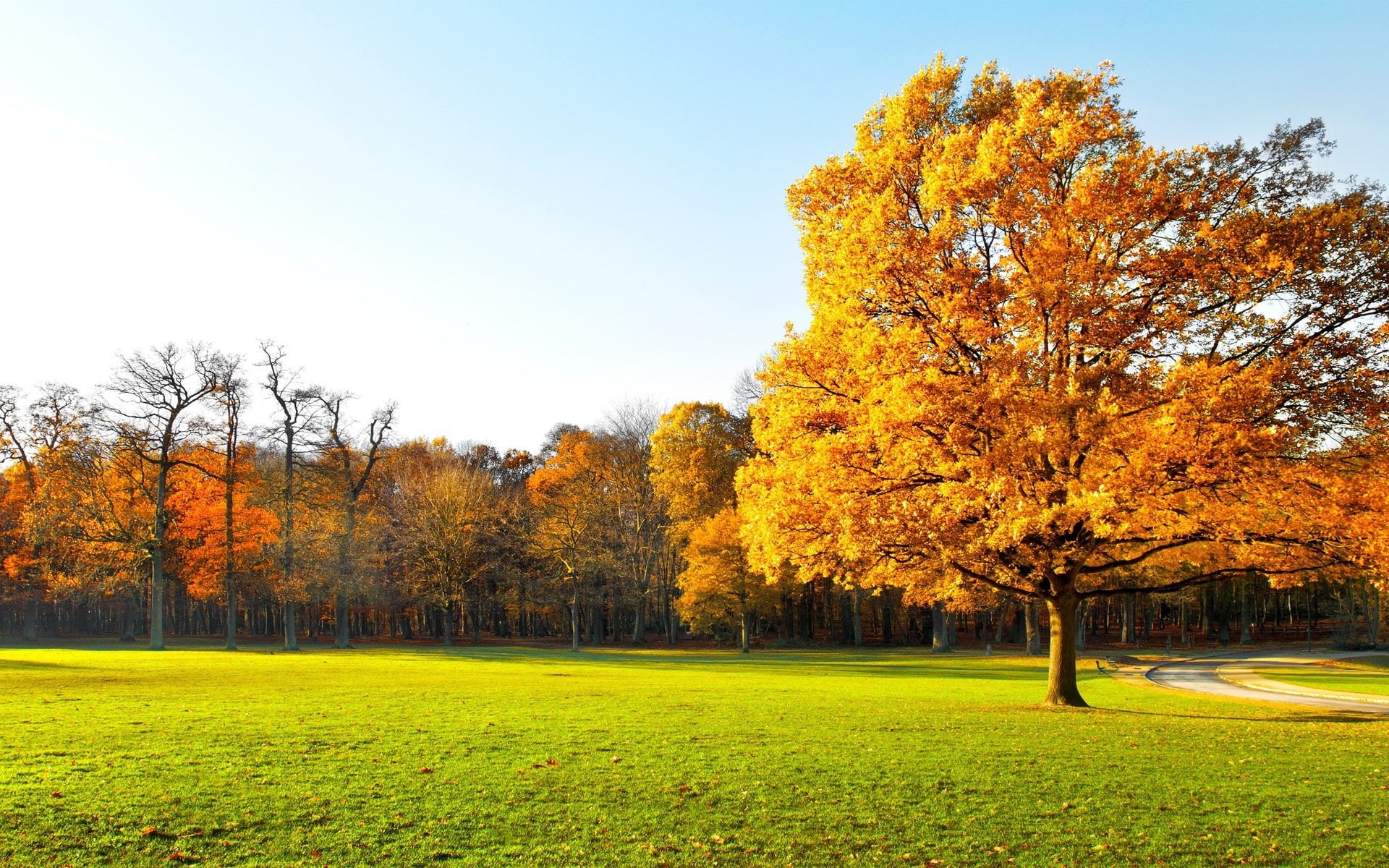 wonderful pictures of nature hd background 1920x1200, 1080P, HD Wallpaper