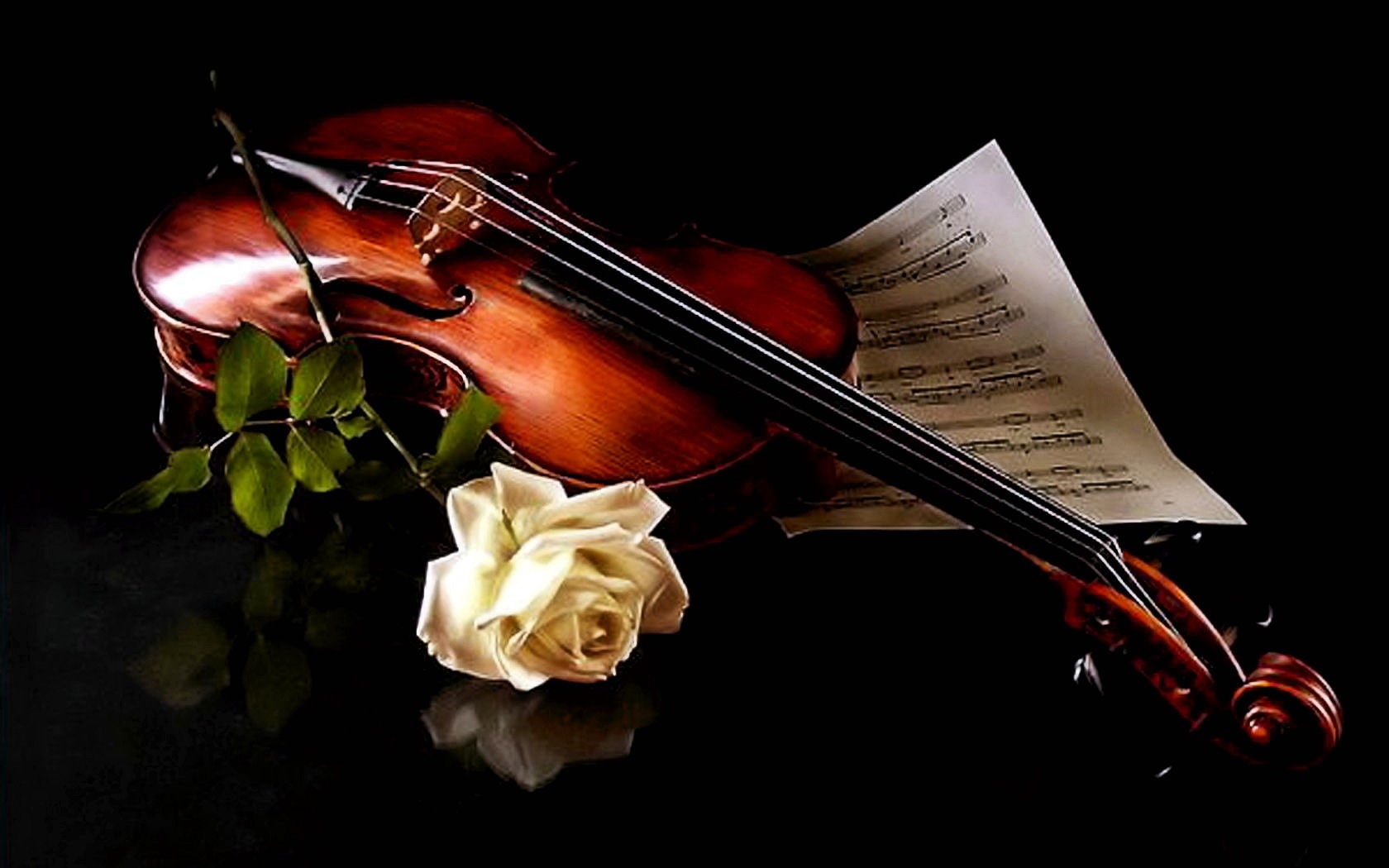 divine, hd, white rose, abstract, rose, magic, beauty, crazy, music, passion, musical notes, nature, romance, wonderful, romantic, 720P, lovely, beautiful, HD Wallpaper