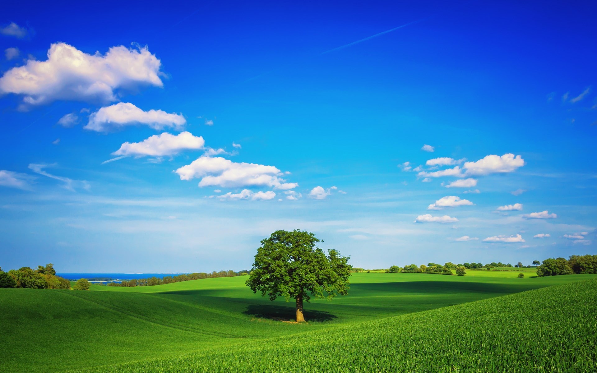 tranquility, scenics - nature, idyllic, cloud - sky, blue, beauty in nature, growth, 1080P, grass, land, wonderful nature  1920x1200, no people, rural scene, HD Wallpaper