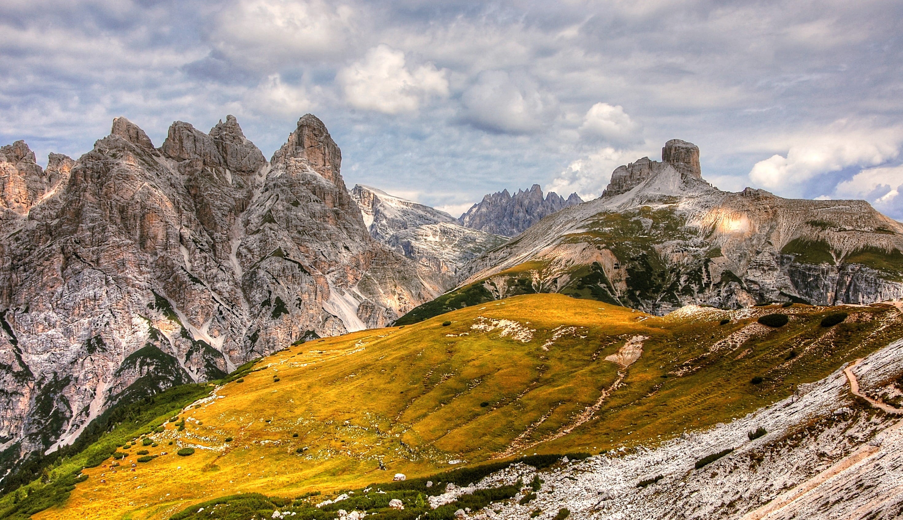 alpine panorama, mountains, plant, summer, alm, travel destinations, mountain pass, landscape, tree, birkenkofel, rock, mountain peak, panorama, activity, HD Wallpaper