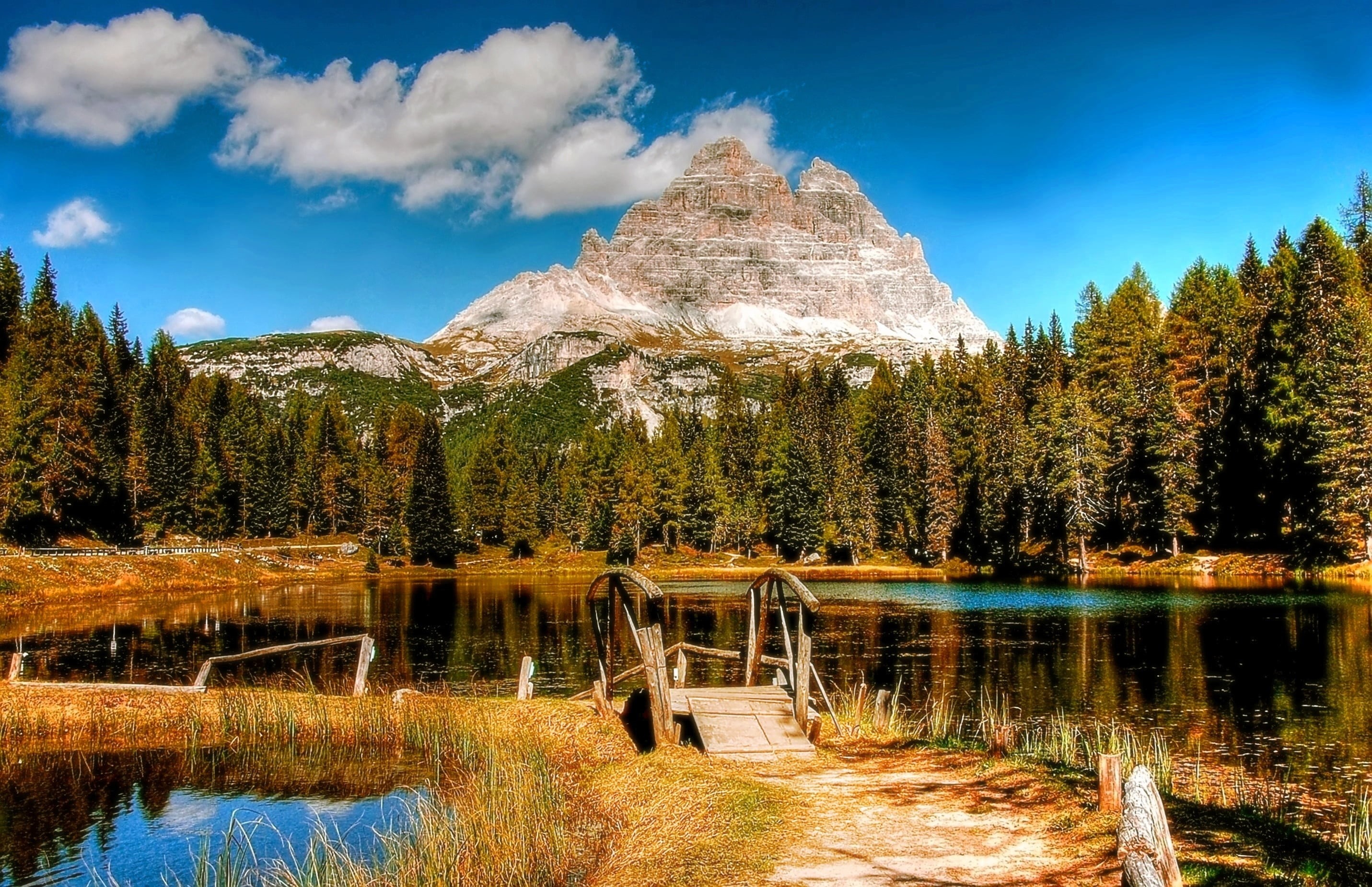 no people, trees, tranquil scene, nature, lake, italy, summer, photo, water, swamp, pine, near, land, 2K, cloud - sky, blue, scenics - nature, sky, green, HD Wallpaper