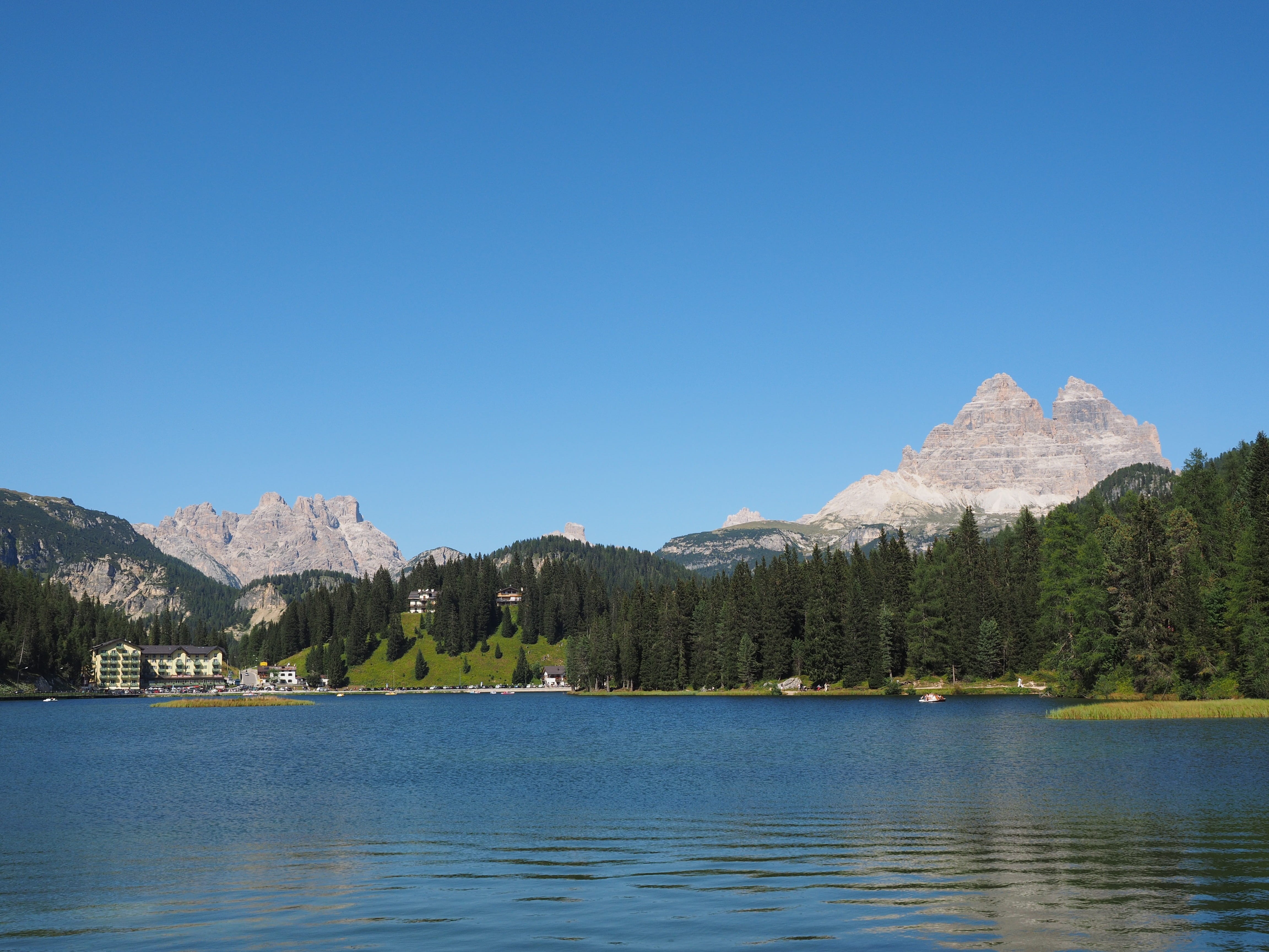 pine woodland, south tyrol, the sesto dolomites, mountain stock, tree, blue, mountain range, sky, scenics - nature, clear sky, no people, mountain, land, HD Wallpaper