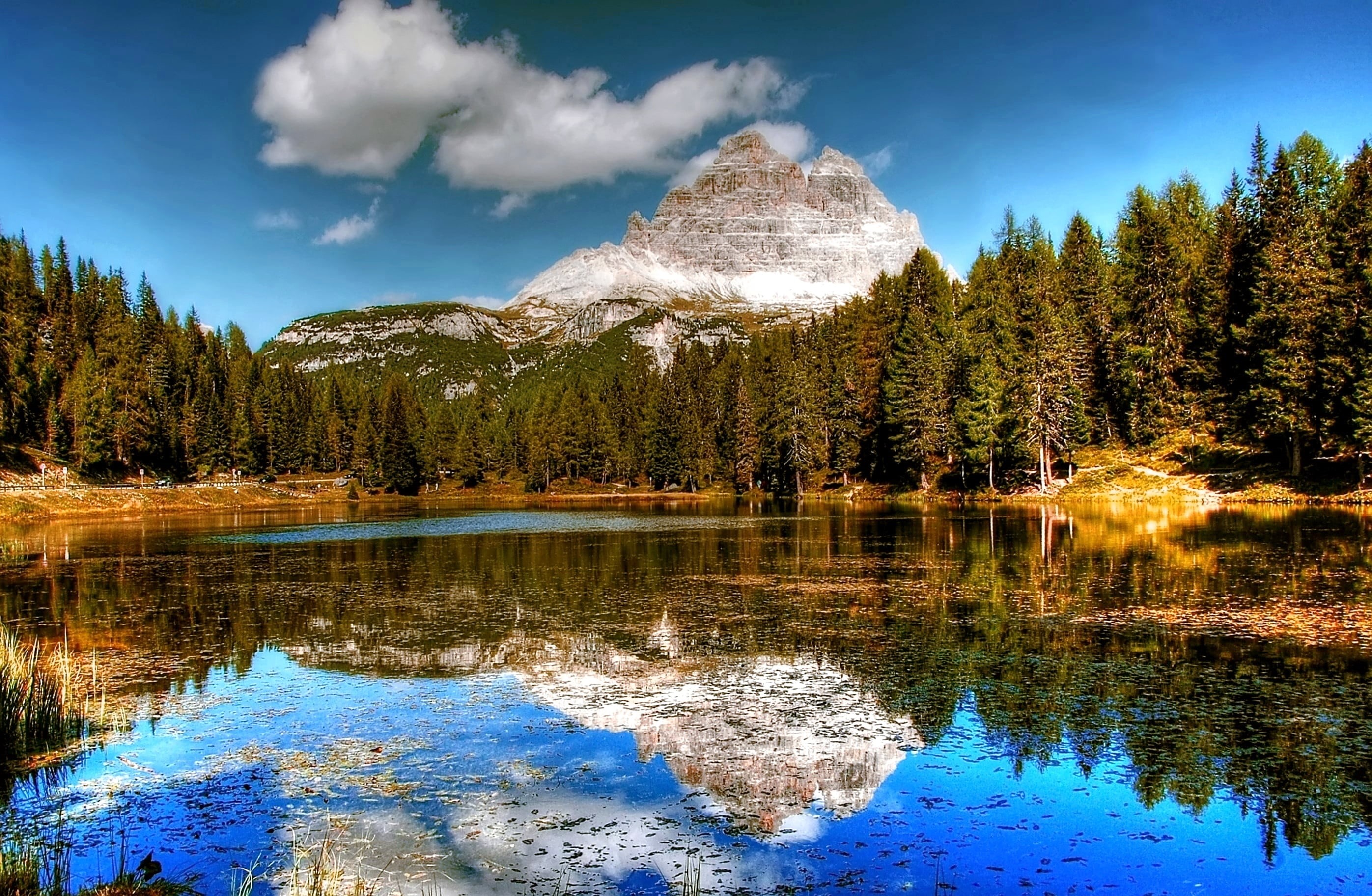 2K, scenics, lake, plant, forest, landscape, tree, trees, body, outdoors, pine woodland, water, natural wonders, mountain, across, tranquil scene, non-urban scene, HD Wallpaper