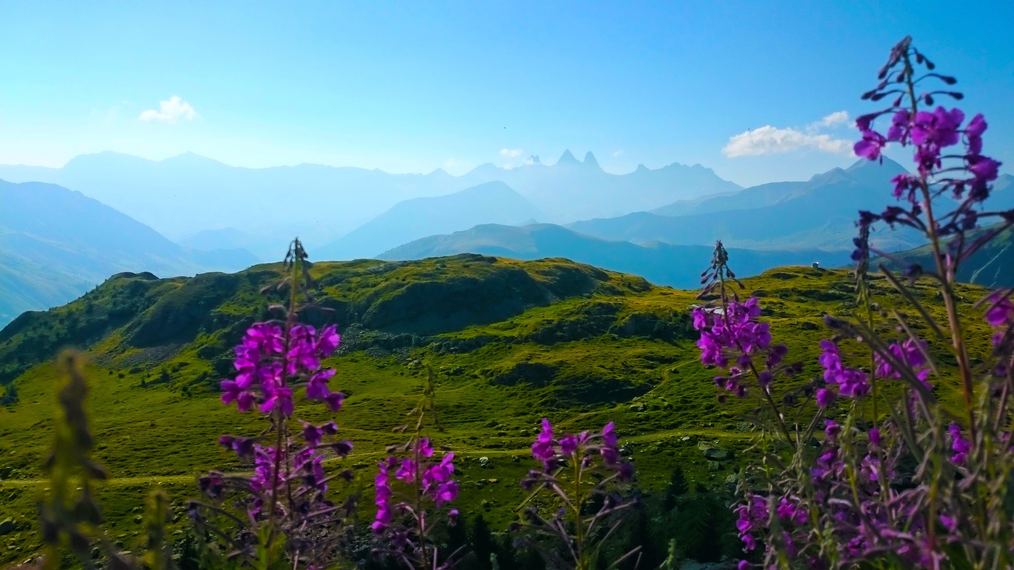 flower, alm, mountain, beautiful, outlook, view, sky, mountains, beauty in nature, france, nature, freshness, alpine, no people, dolomites, mountaineering, HD Wallpaper