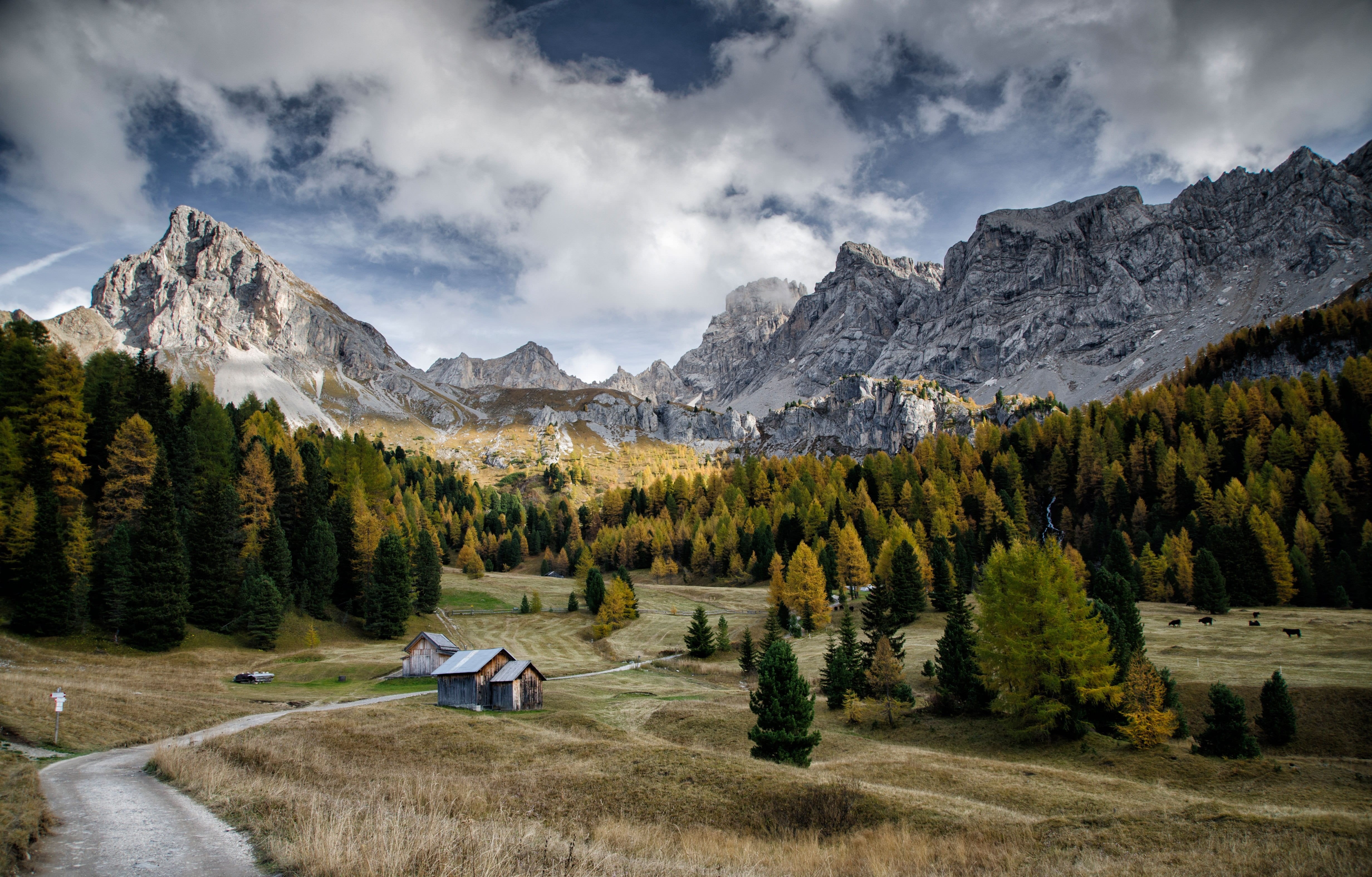 snowcapped mountain, outdoors, val di fassa, forest, tree, scenics - nature, mountain, tranquility, landscape, nature, cloud - sky, environment, green, HD Wallpaper