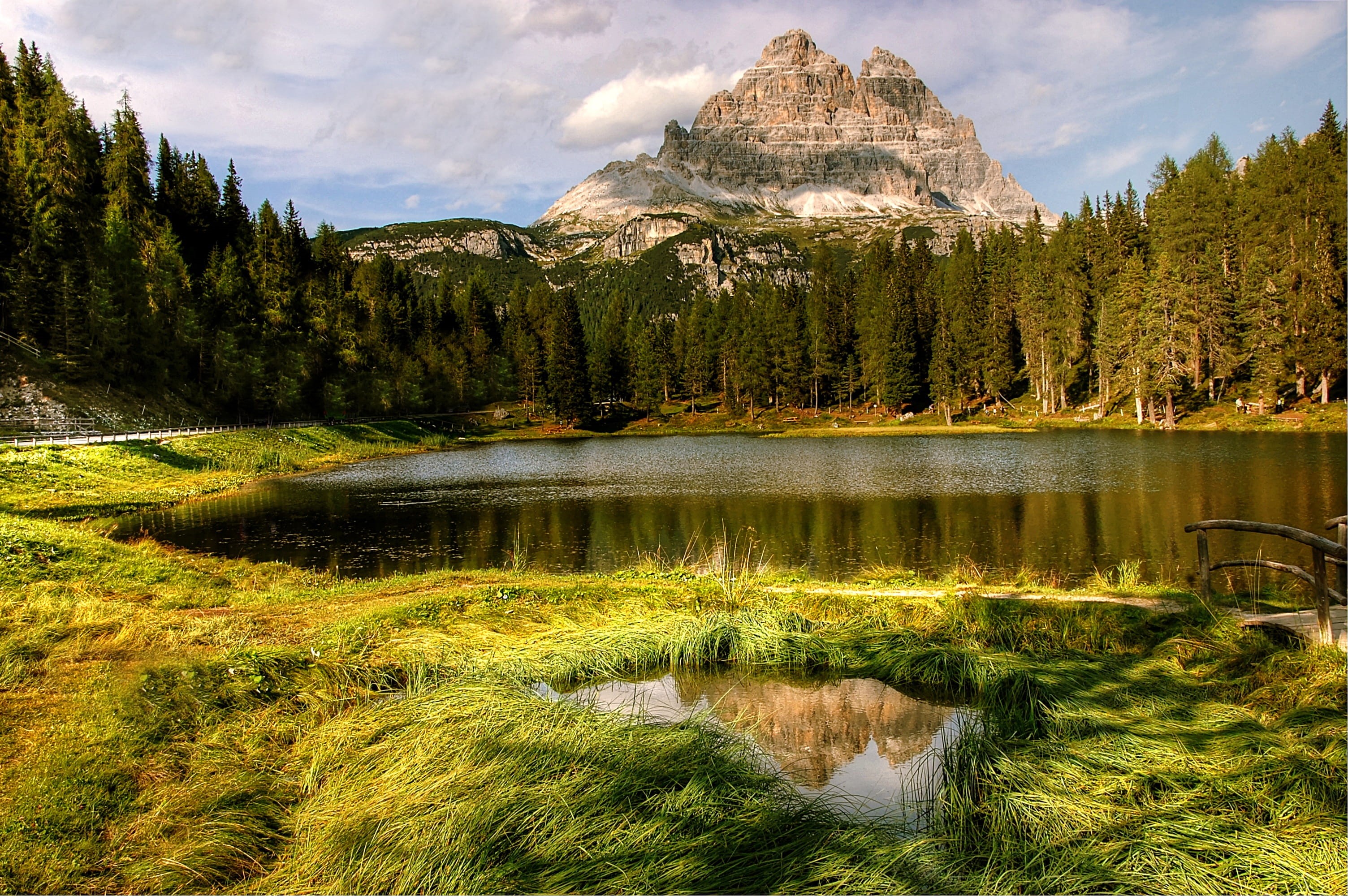 beauty in nature, mountain, italy, growth, pine tree, scenics - nature, south tyrol, alpine, non-urban scene, belluno, idyllic, rock, natural wonders, coniferous tree, HD Wallpaper