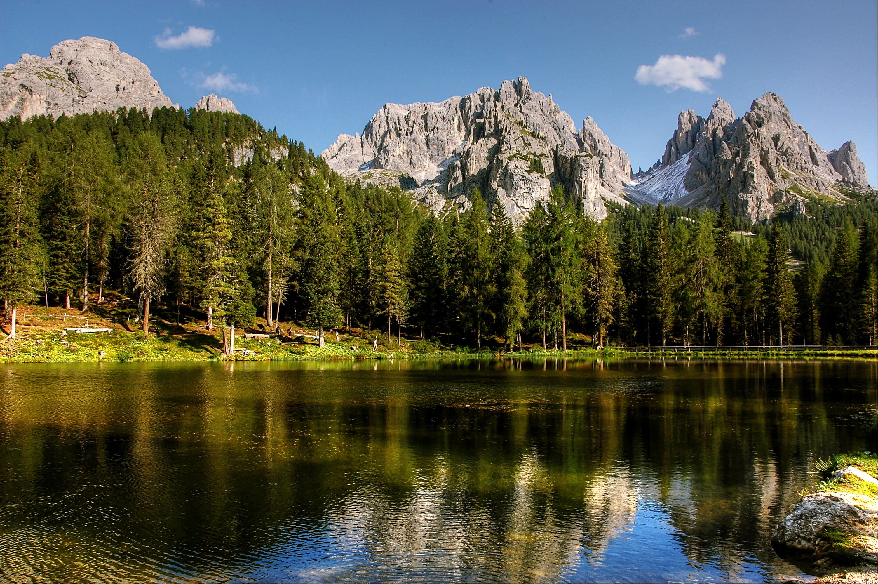 forest, lavaredo, brine, dolomites, travel destinations, water, 2K, misurina, rock, landscape, mountains, south tyrol, no people, summer, lake, italy, HD Wallpaper
