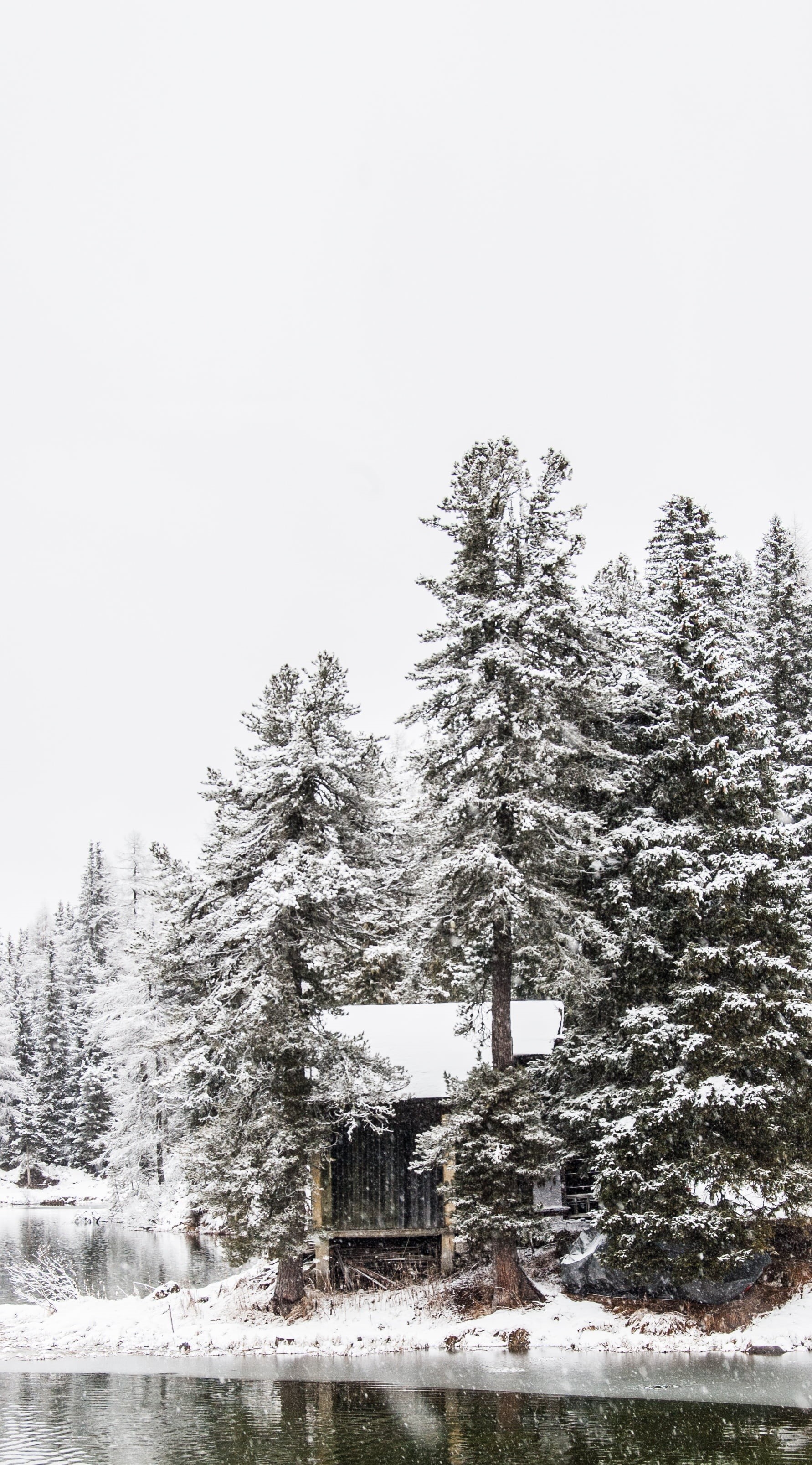 growth, day, fir, bianca, frozen, baita, 2K, dolomites, cold temperature, mountain, christmas, pine tree, sky, coniferous tree, nature, lake, ice, bow, Phone HD Wallpaper