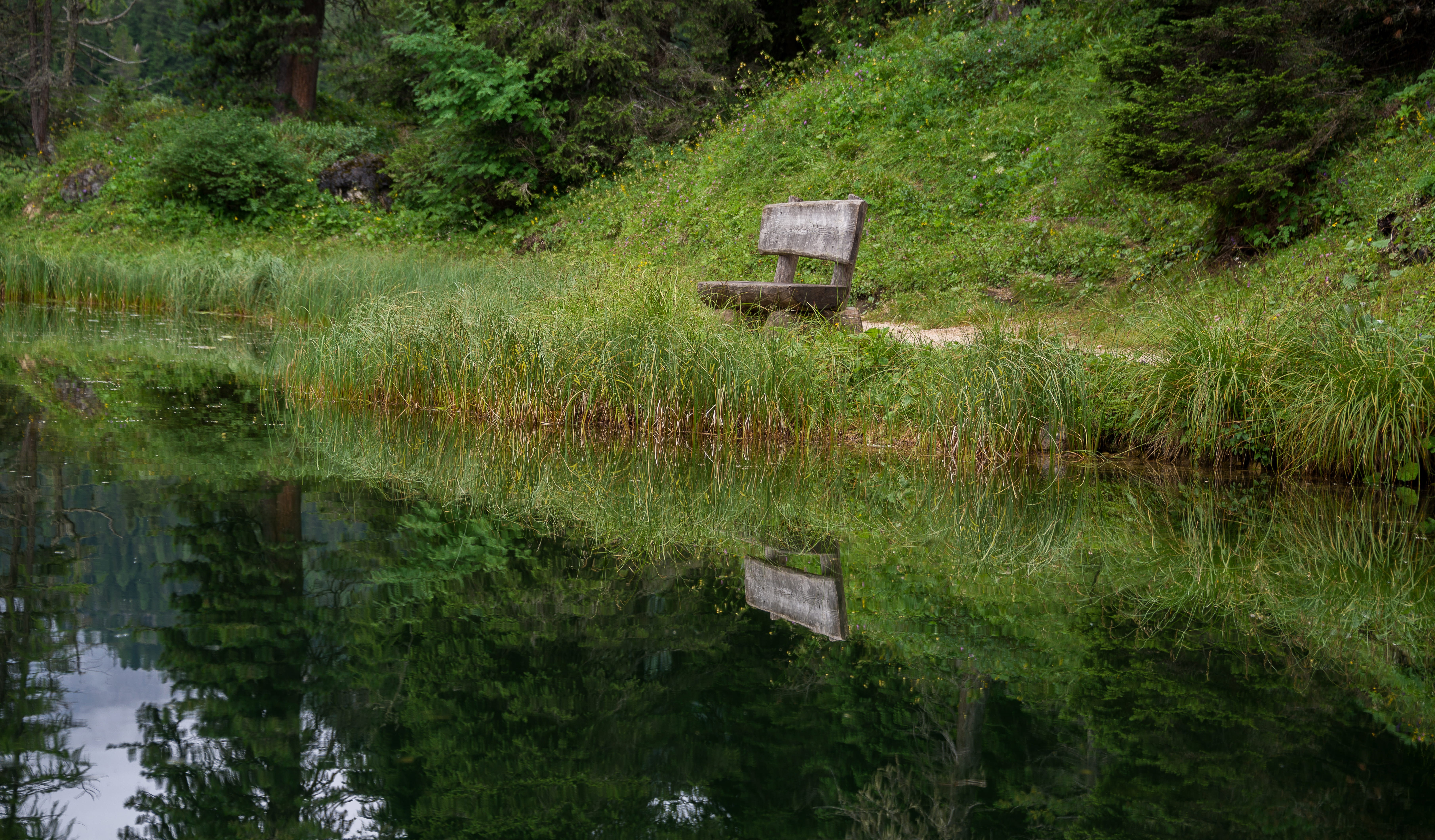 italy, grass, no people, beauty in nature, bench, lake misurina, plant, nature, waterfront, built structure, growth, 5K, misurina, tranquility, scenics - nature, HD Wallpaper