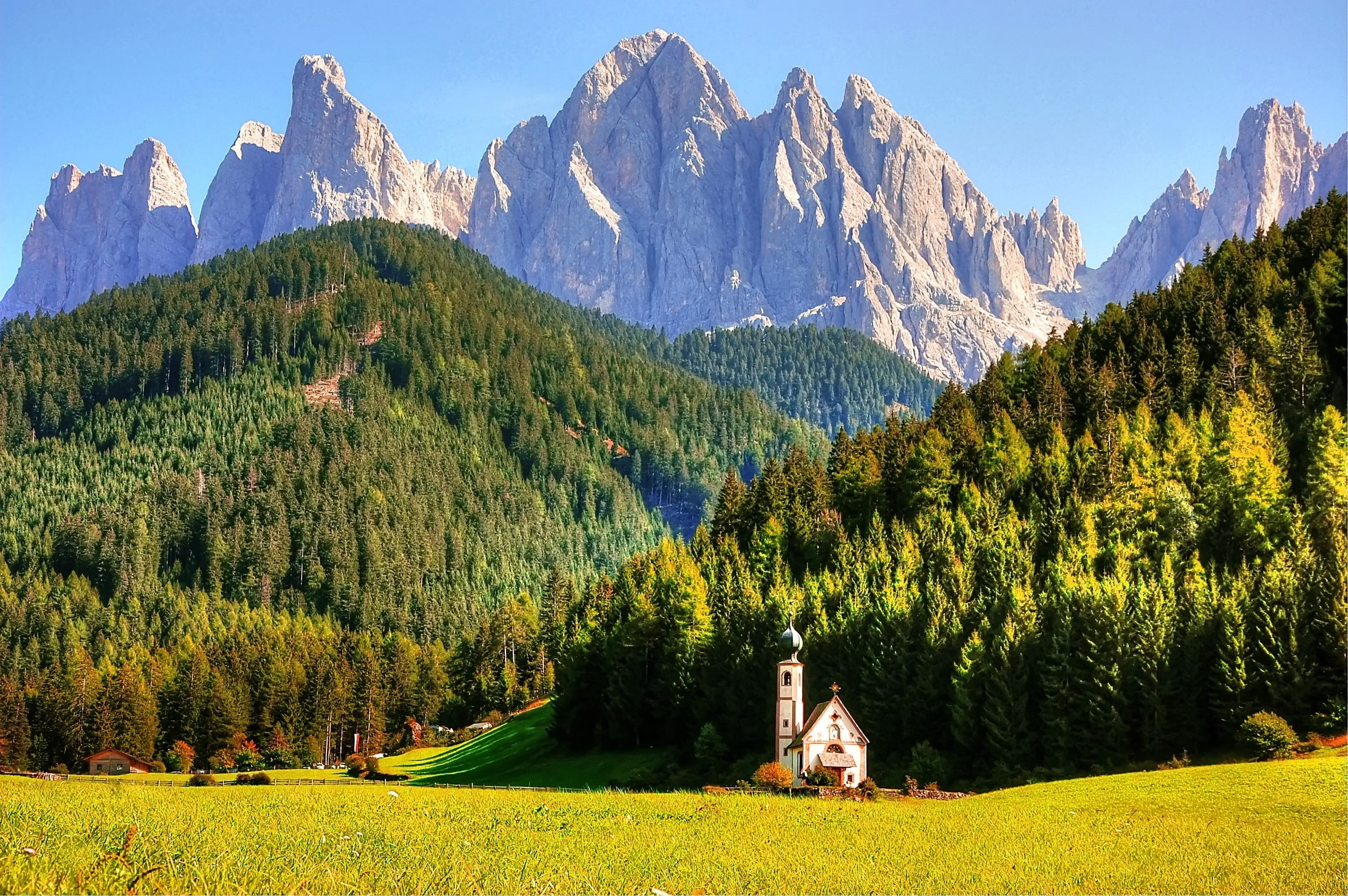 clouds, 2K, mountain range, green color, tranquility, no people, alm, dolomites, mountain, great, forest, pine tree, outdoors, hike, odle, summer, tranquil scene, HD Wallpaper