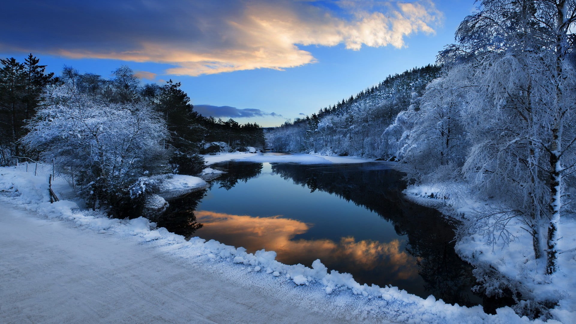 water, ice, tranquil scene, no people, forest, non-urban scene, plant, cloud - sky, nature, outdoors, scenics - nature, body, coniferous tree, near, sky, HD Wallpaper