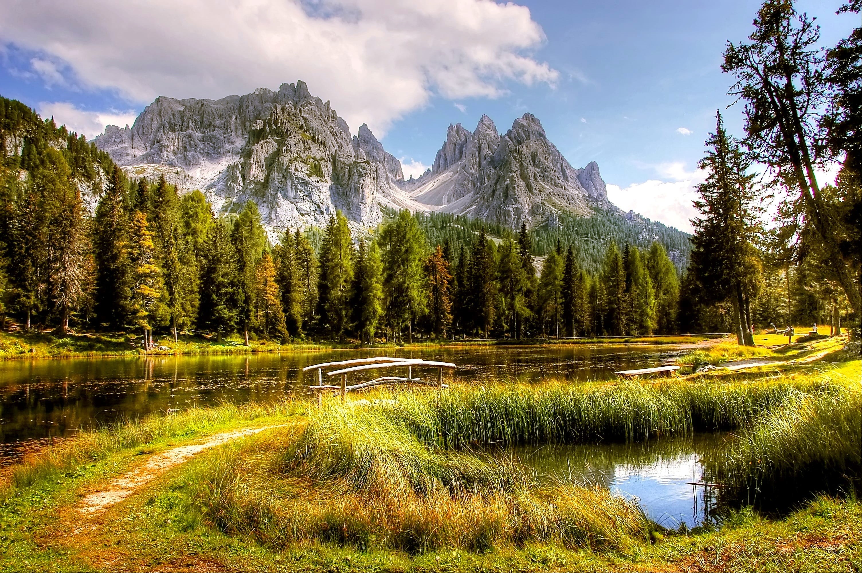 summer, panorama, sunny, rubble field, grass, tranquil scene, unesco world heritage, dolomites, rock, cloud - sky, tranquility, landscape, belluno, 2K, HD Wallpaper