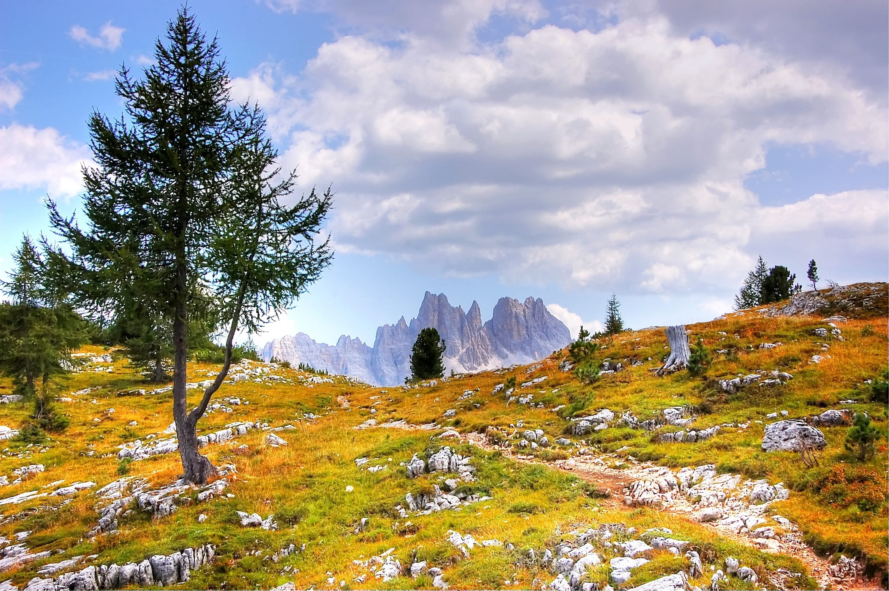 hiking, cloudy, italy, dolomites, tofana, viewpoint, hard rock, pine woodland, belluno, summer, non-urban scene, view, scenics - nature, alpine, sky, landscape, HD Wallpaper