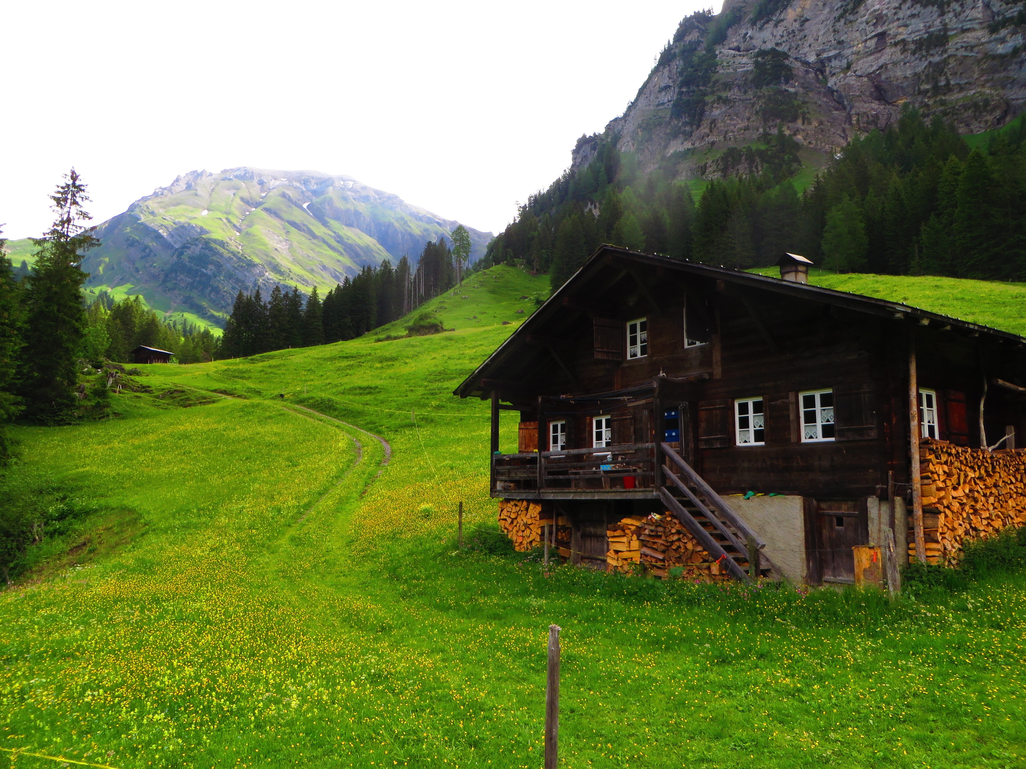 tree, sky, nature, chalet, Switzerland, building, grass, mountains, Lenk, 4K, beauty in nature, architecture, landscape, outdoors, Swiss Alps, field, pine trees, HD Wallpaper