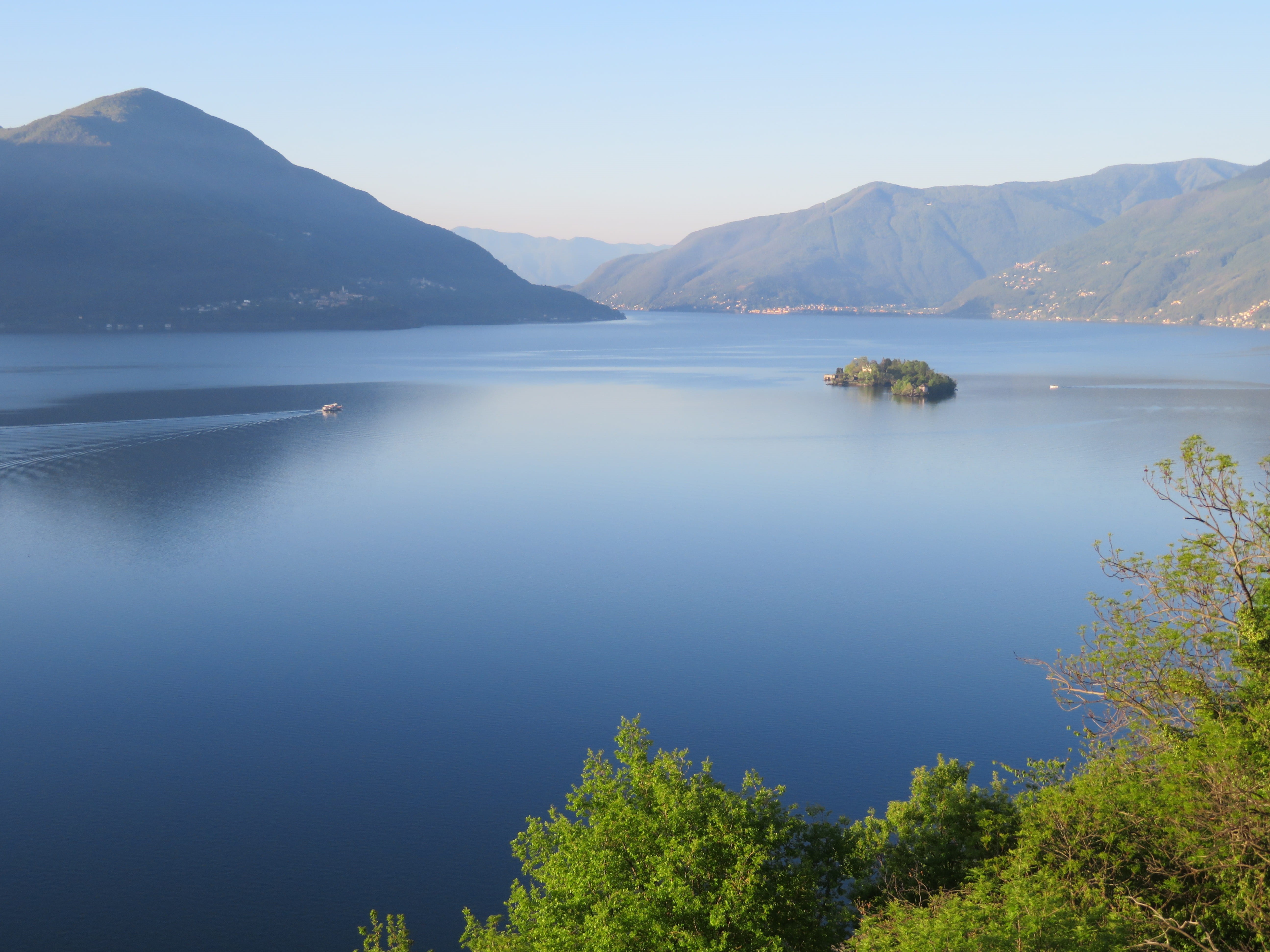 day, plant, reflection, lake, non-urban scene, water, switzerland, mountain range, ticino, ascona, tree, travel destinations, nature, scenics - nature, HD Wallpaper