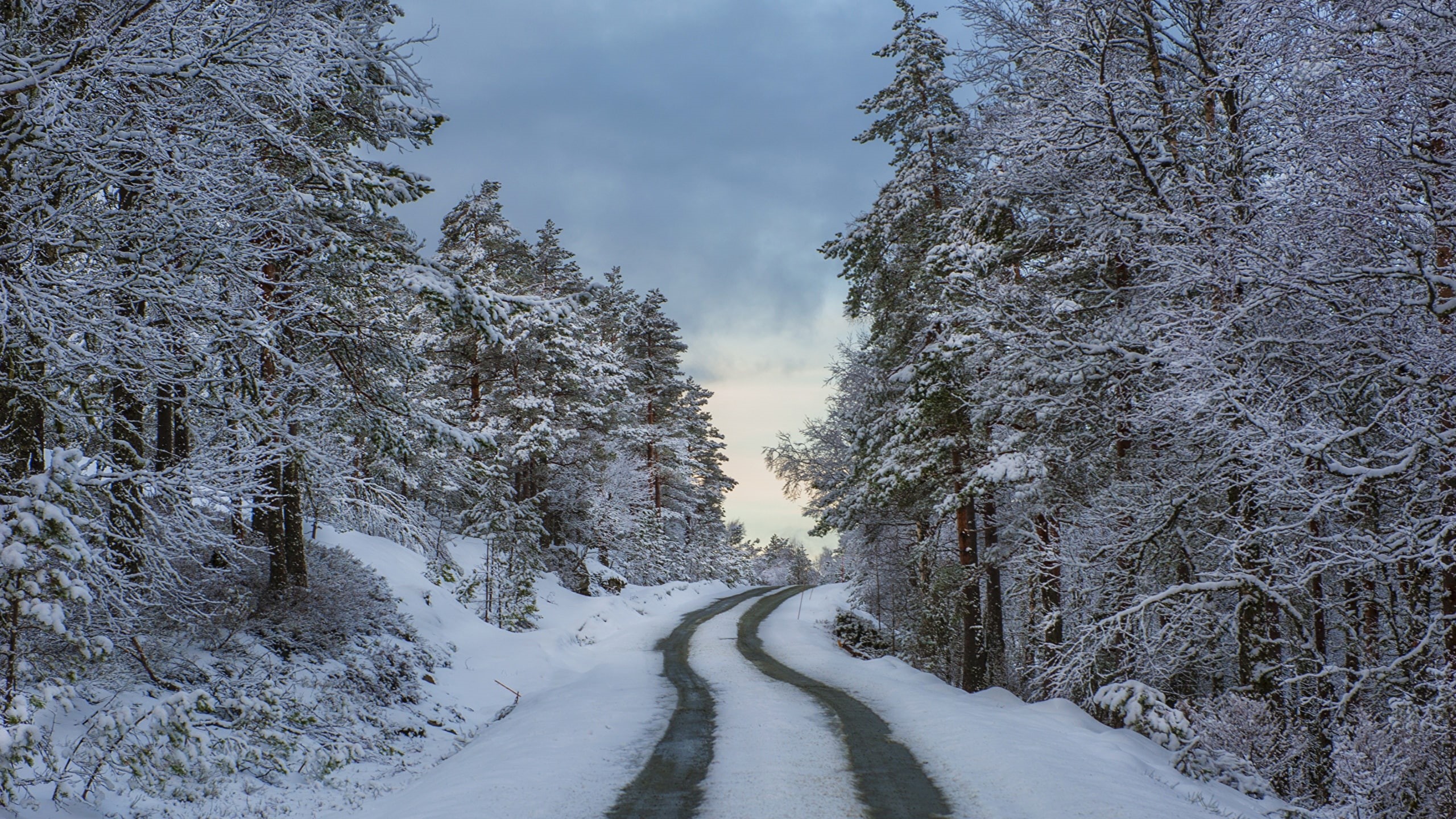 nieve, noruega, 2K, carretera, bosque, HD Wallpaper