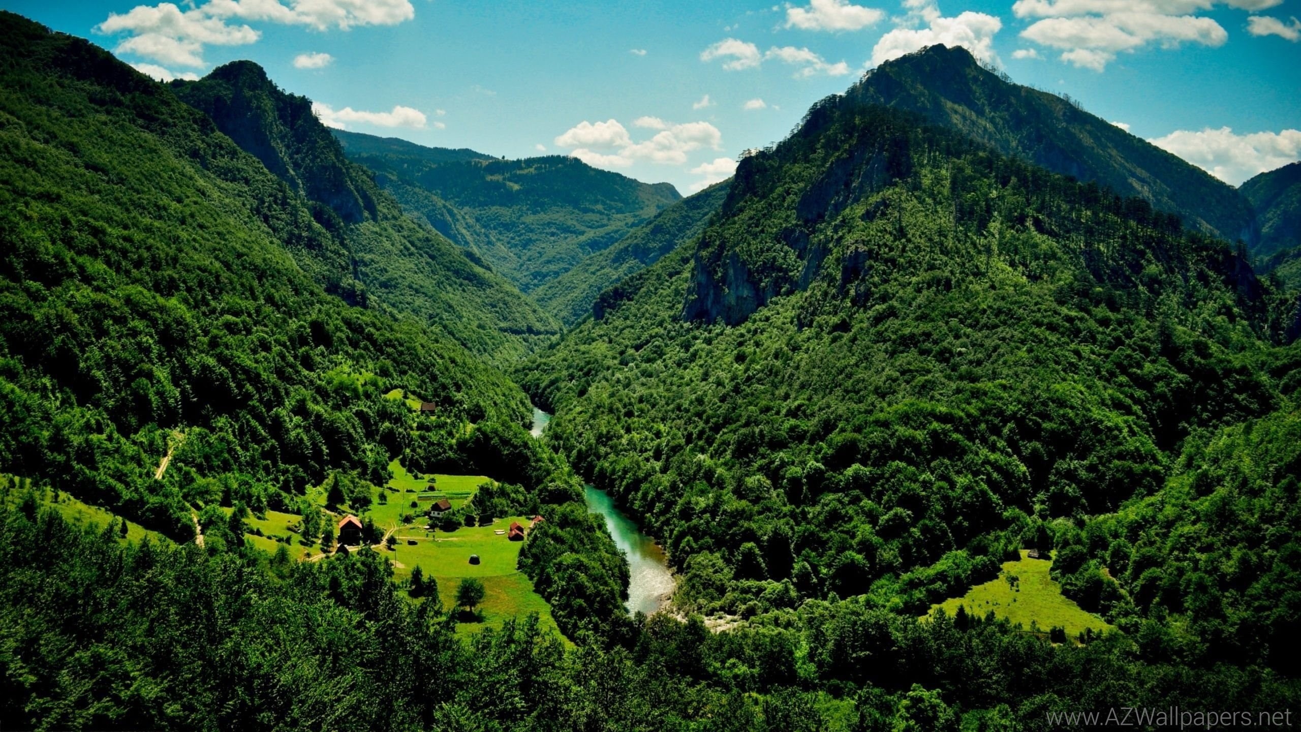 rio, naturaleza, bosque, montes, 2K, paisaje, HD Wallpaper